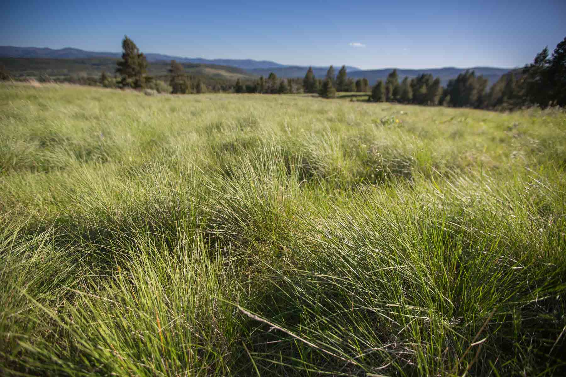 Alice Basin property picture 3 of 39