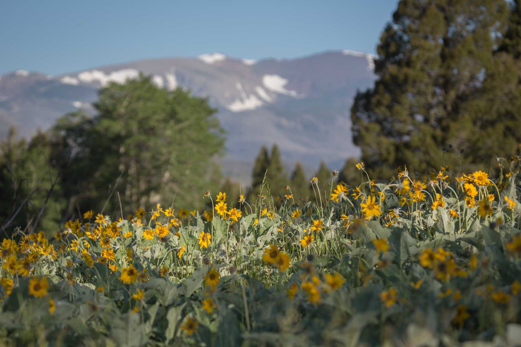 Alice Basin property picture 4 of 39