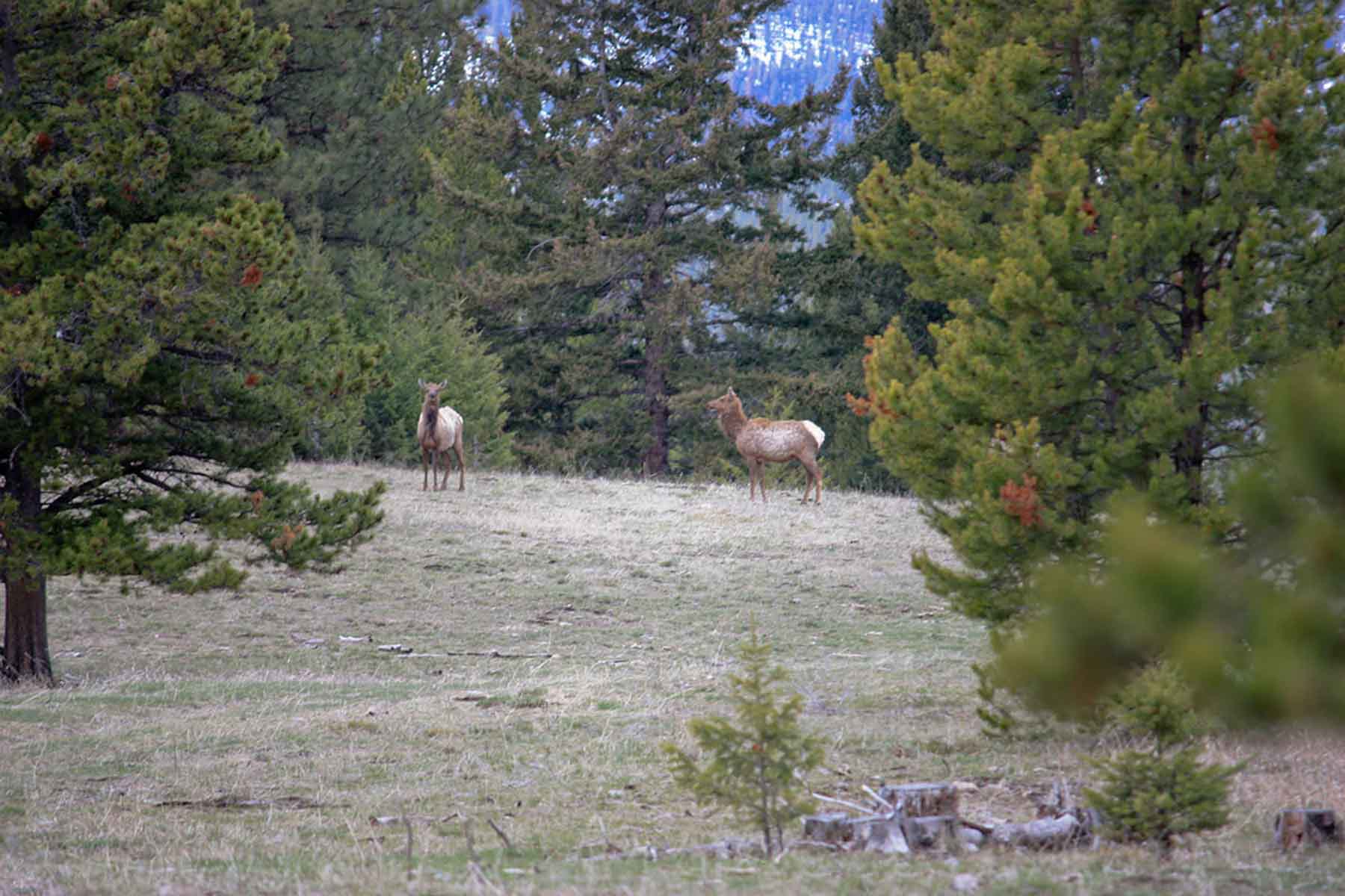 Alice Basin property picture 5 of 39