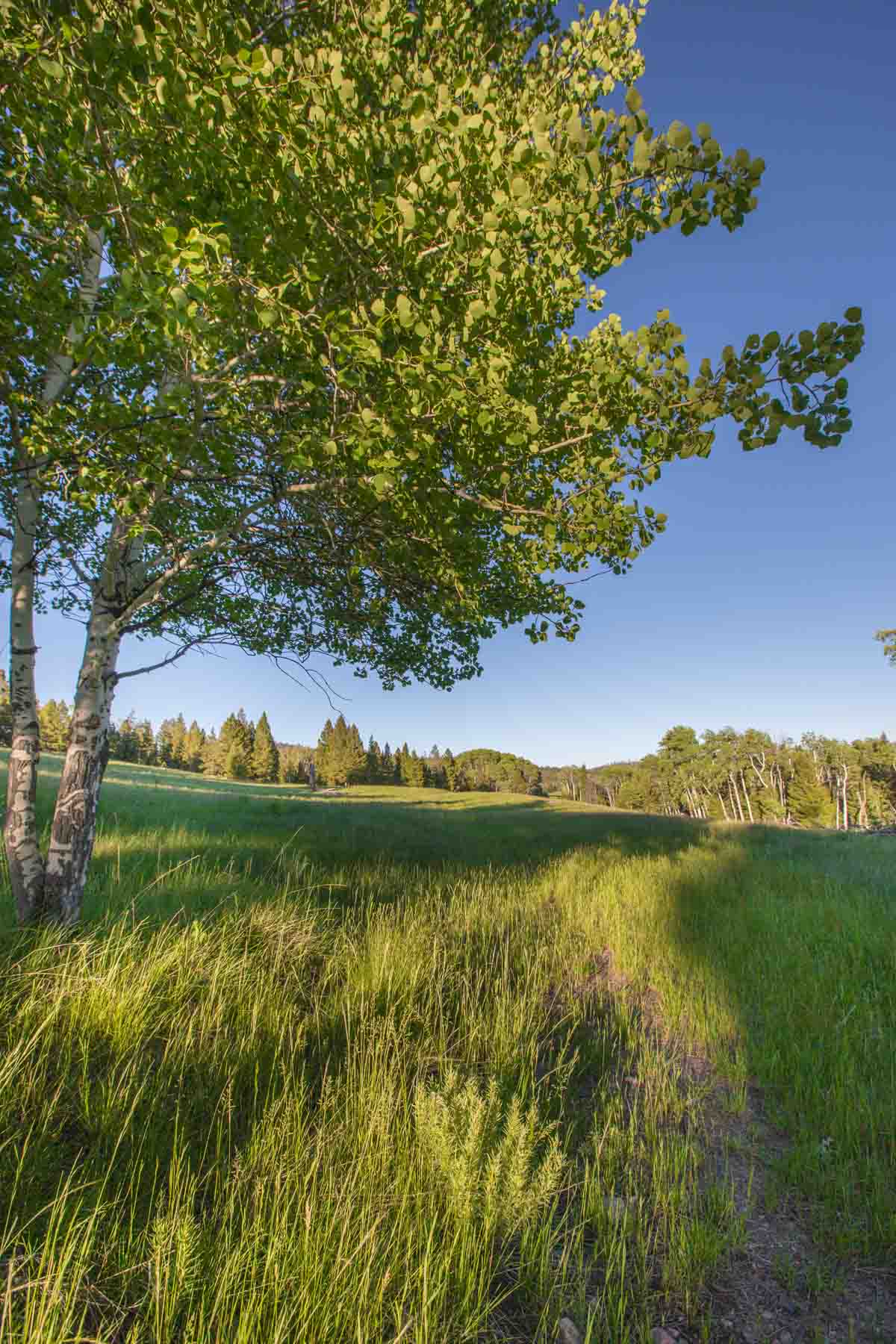 Alice Basin property picture 6 of 39