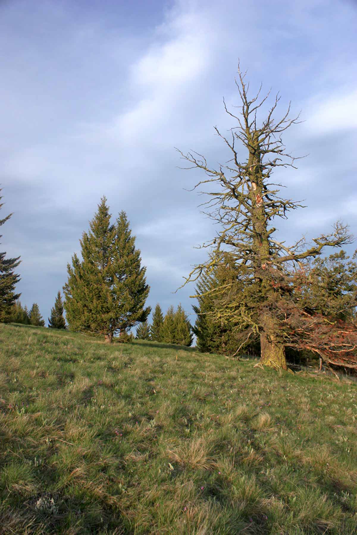 Alice Basin property picture 7 of 39