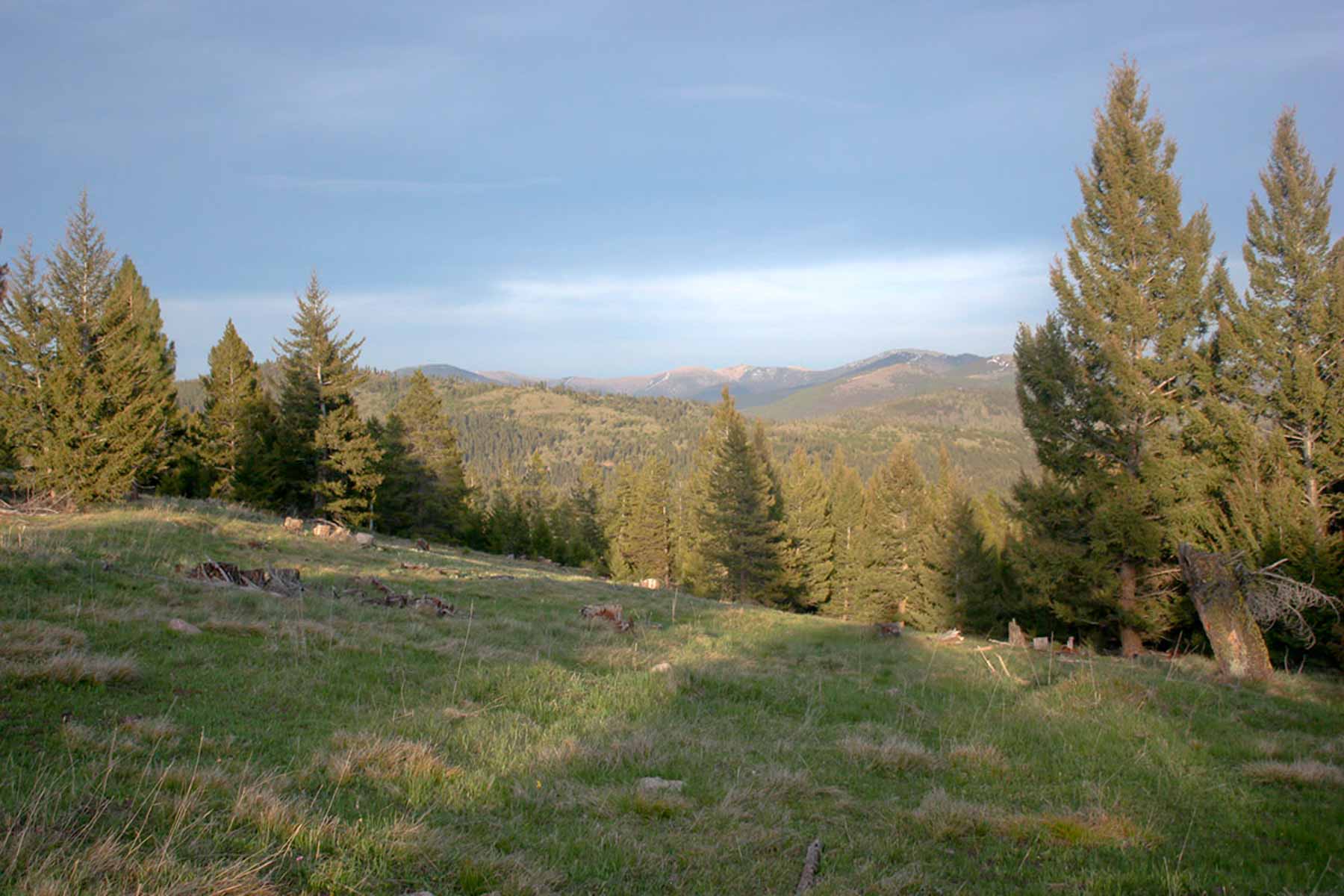 Alice Basin property picture 9 of 39