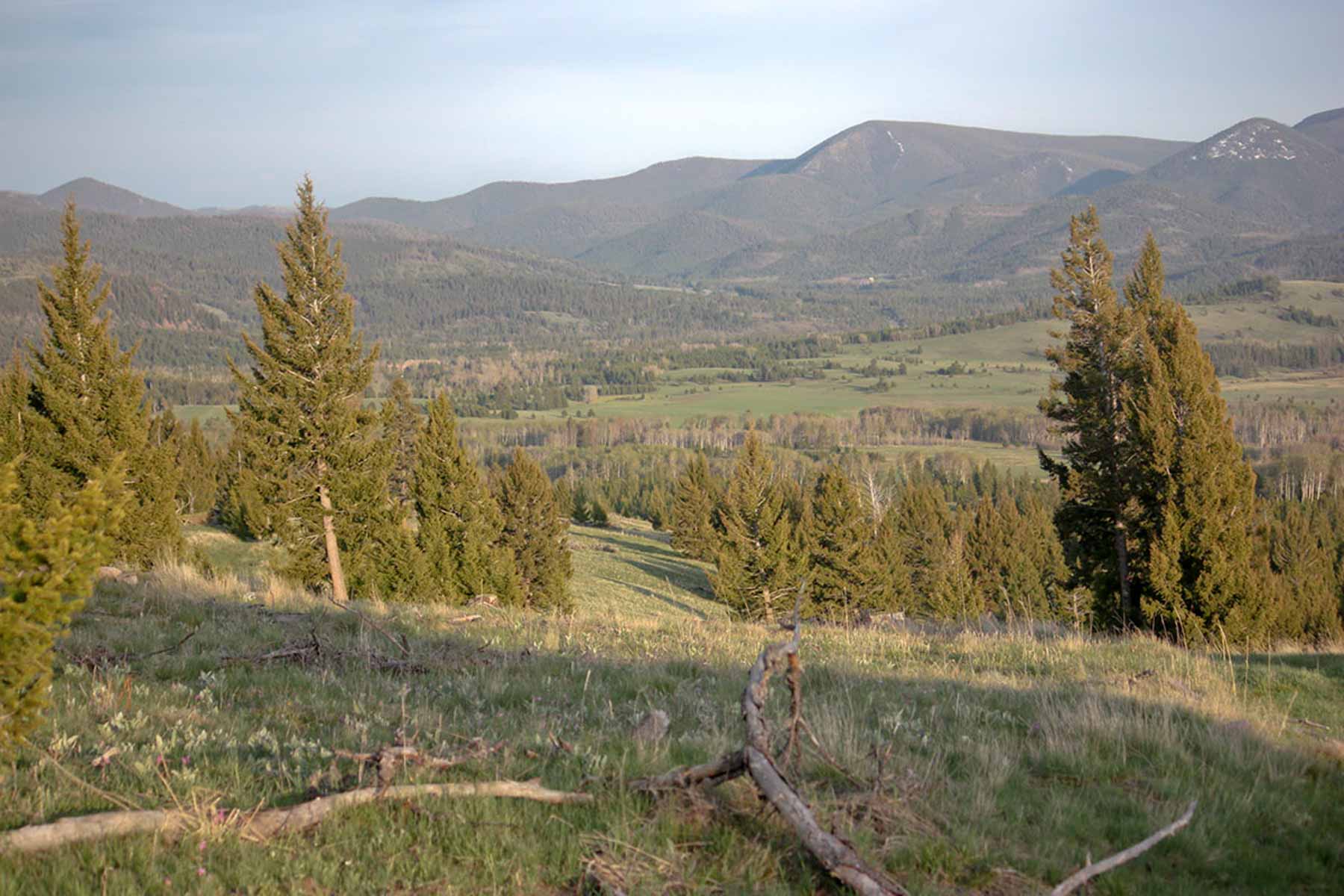 Alice Basin property picture 16 of 39