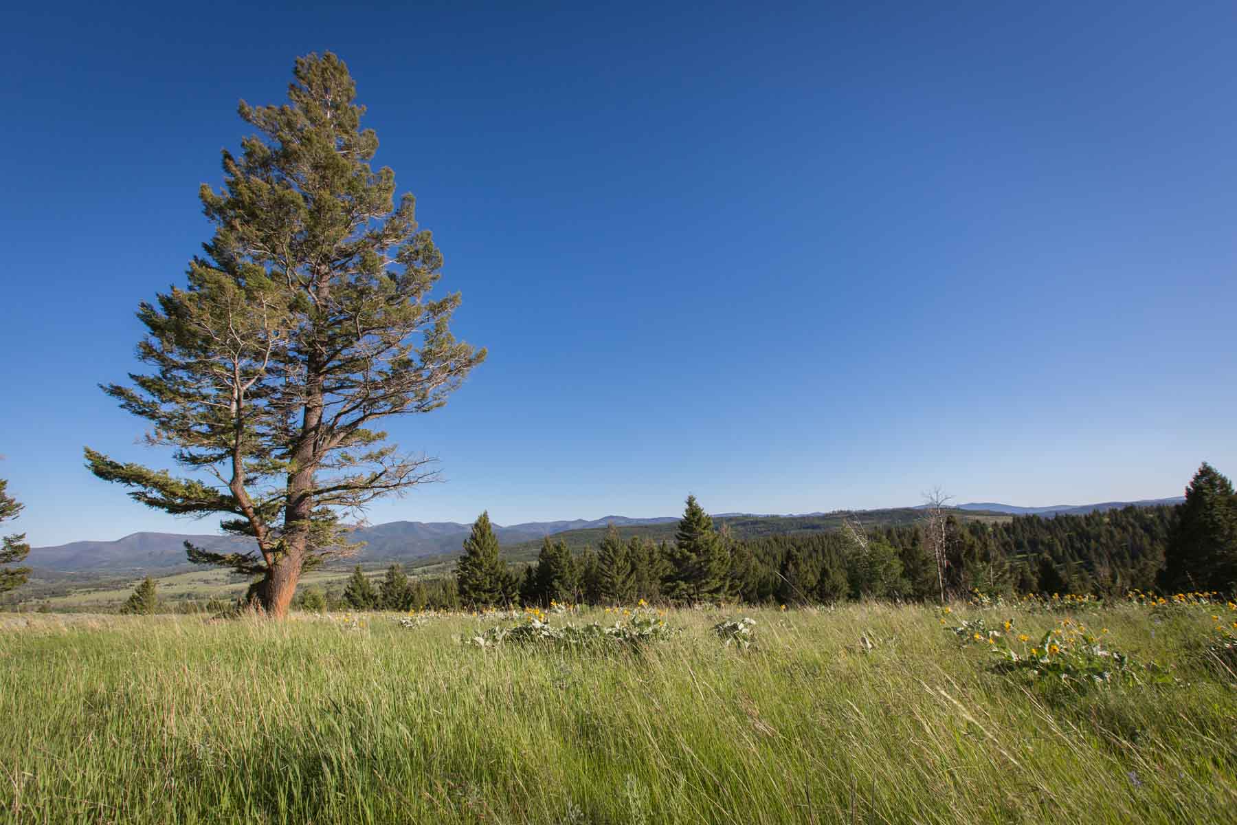 Alice Basin property picture 21 of 39