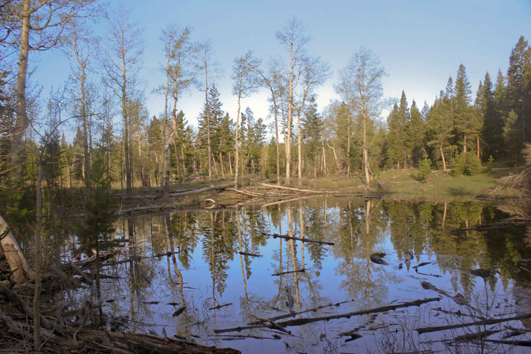 Alice Basin property picture 22 of 39