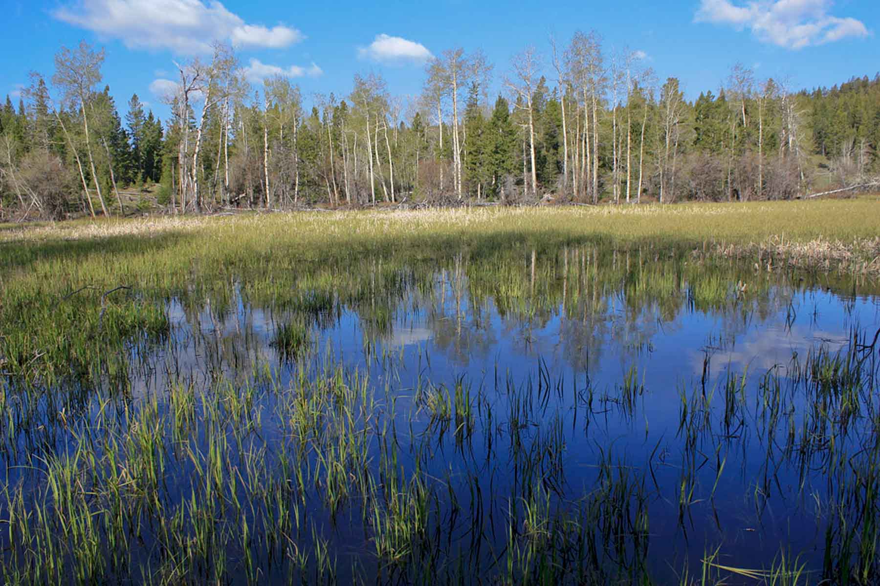 Alice Basin property picture 23 of 39
