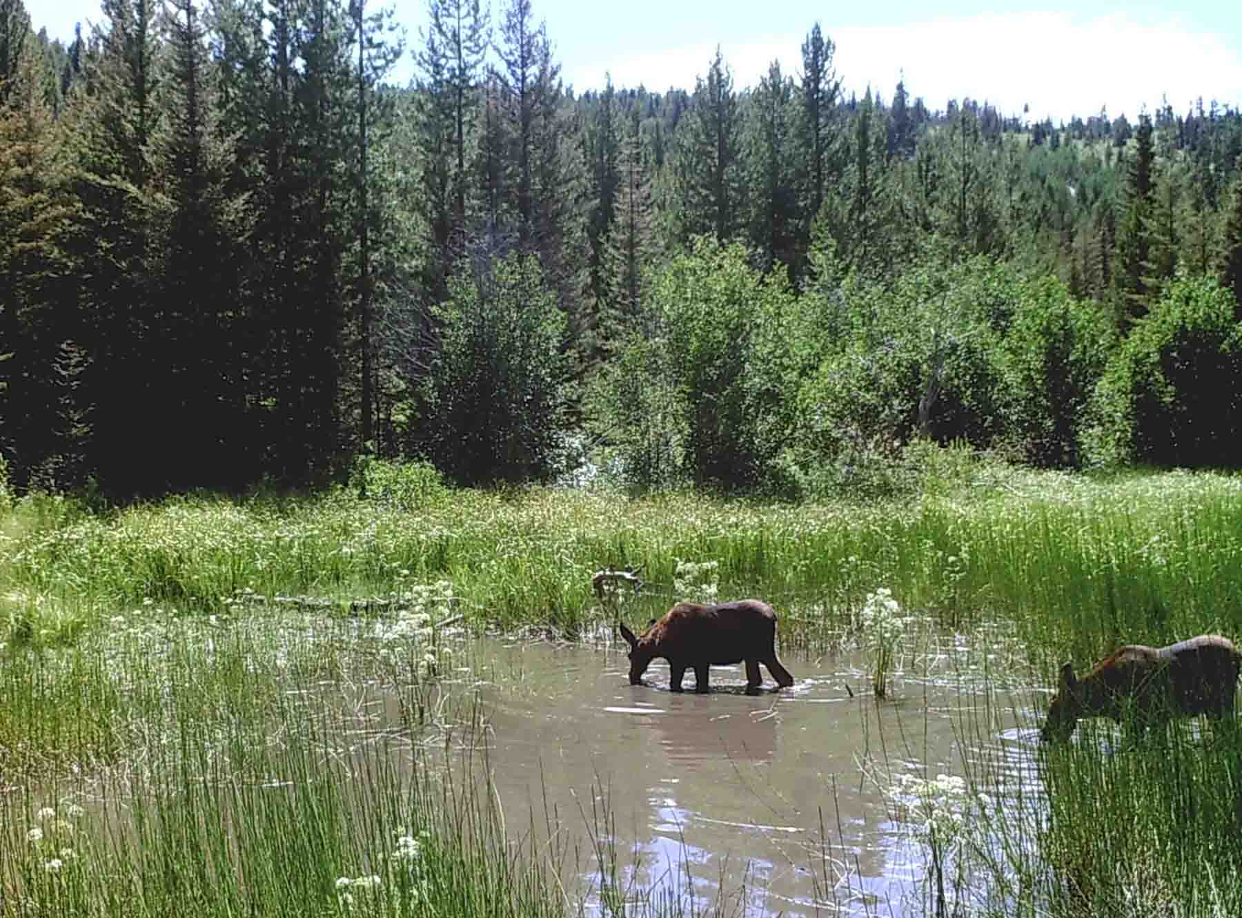 Alice Basin property picture 25 of 39