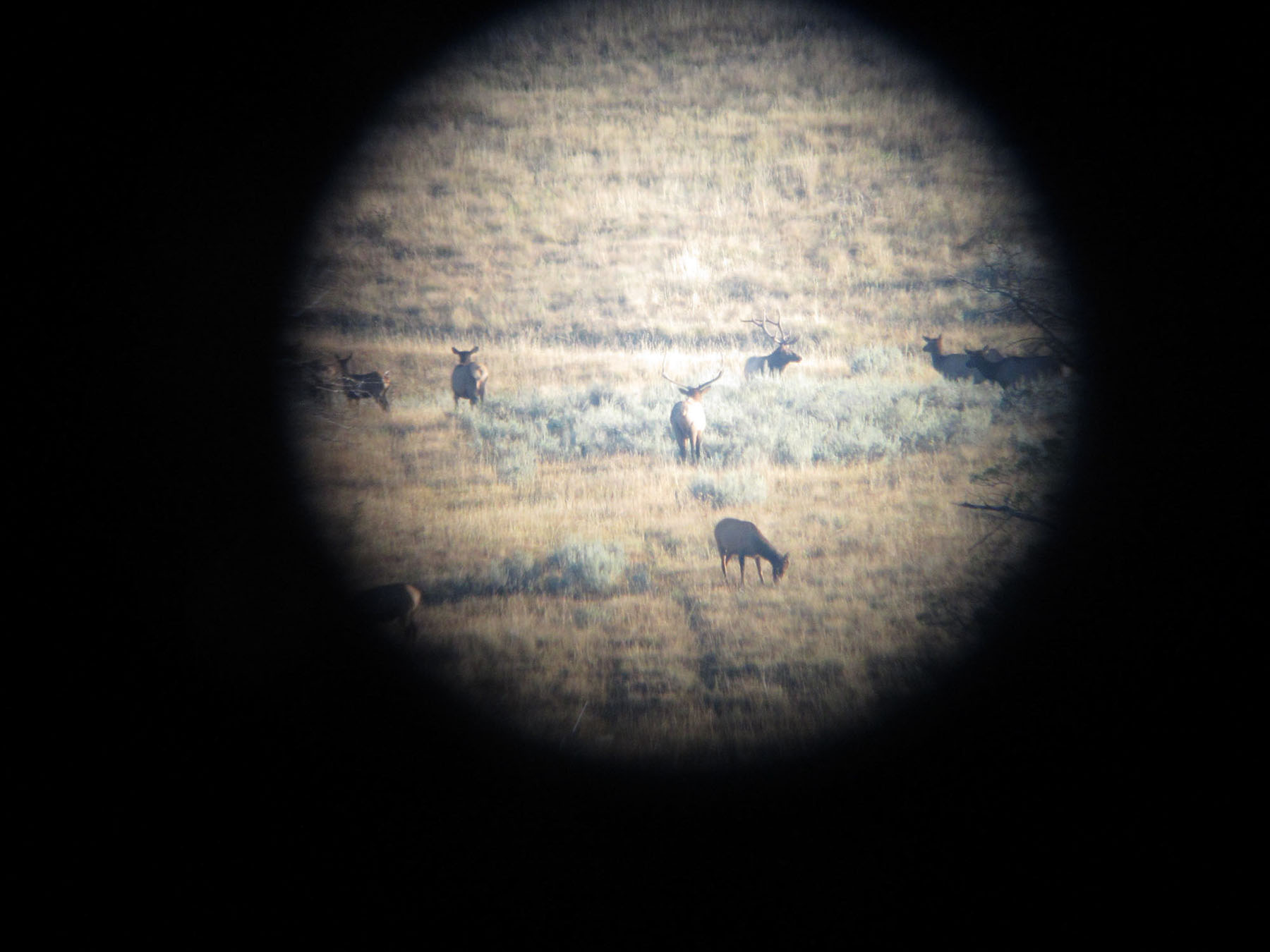 Alice Basin property picture 26 of 39