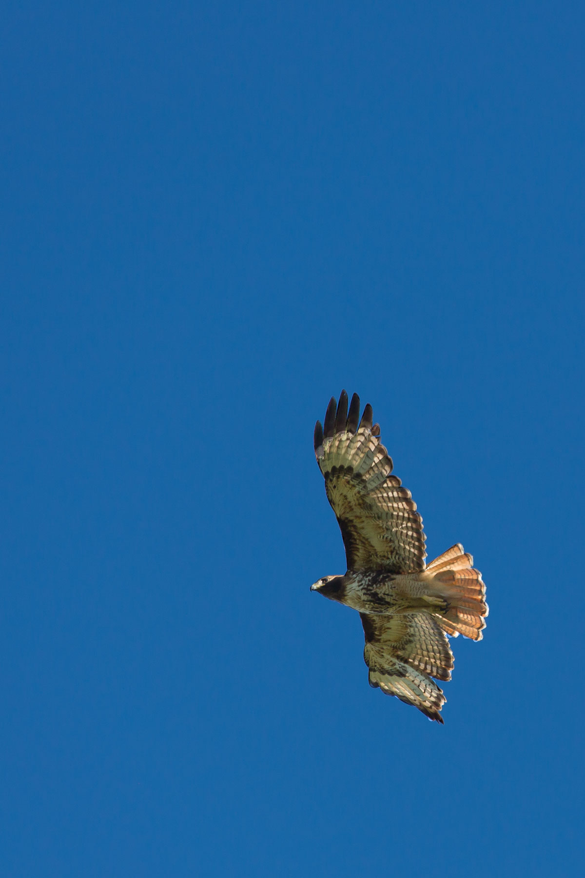 Alice Basin property picture 27 of 39
