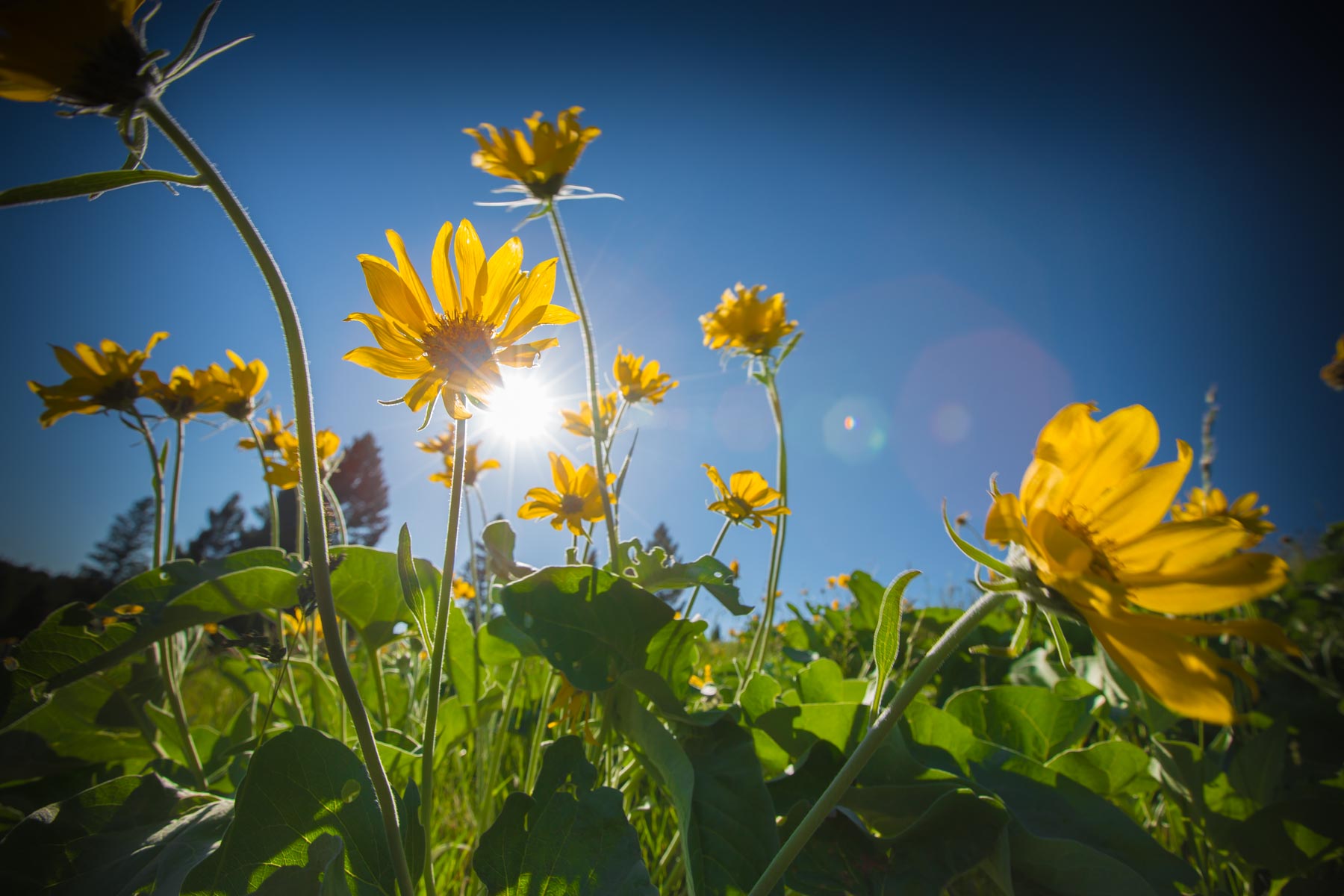 Alice Basin property picture 29 of 39