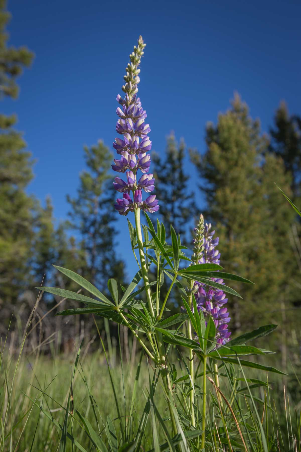 Alice Basin property picture 31 of 39