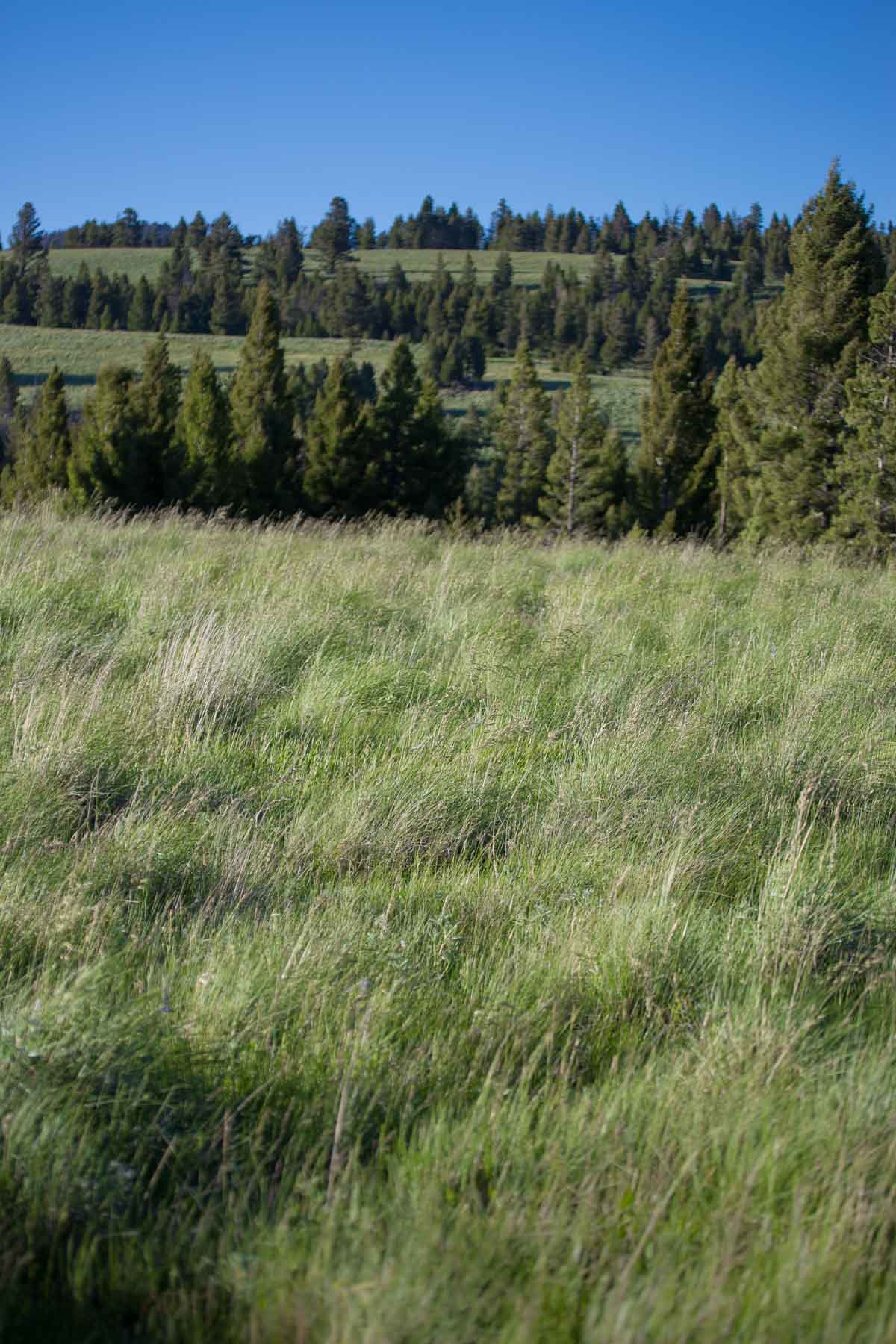 Alice Basin property picture 34 of 39