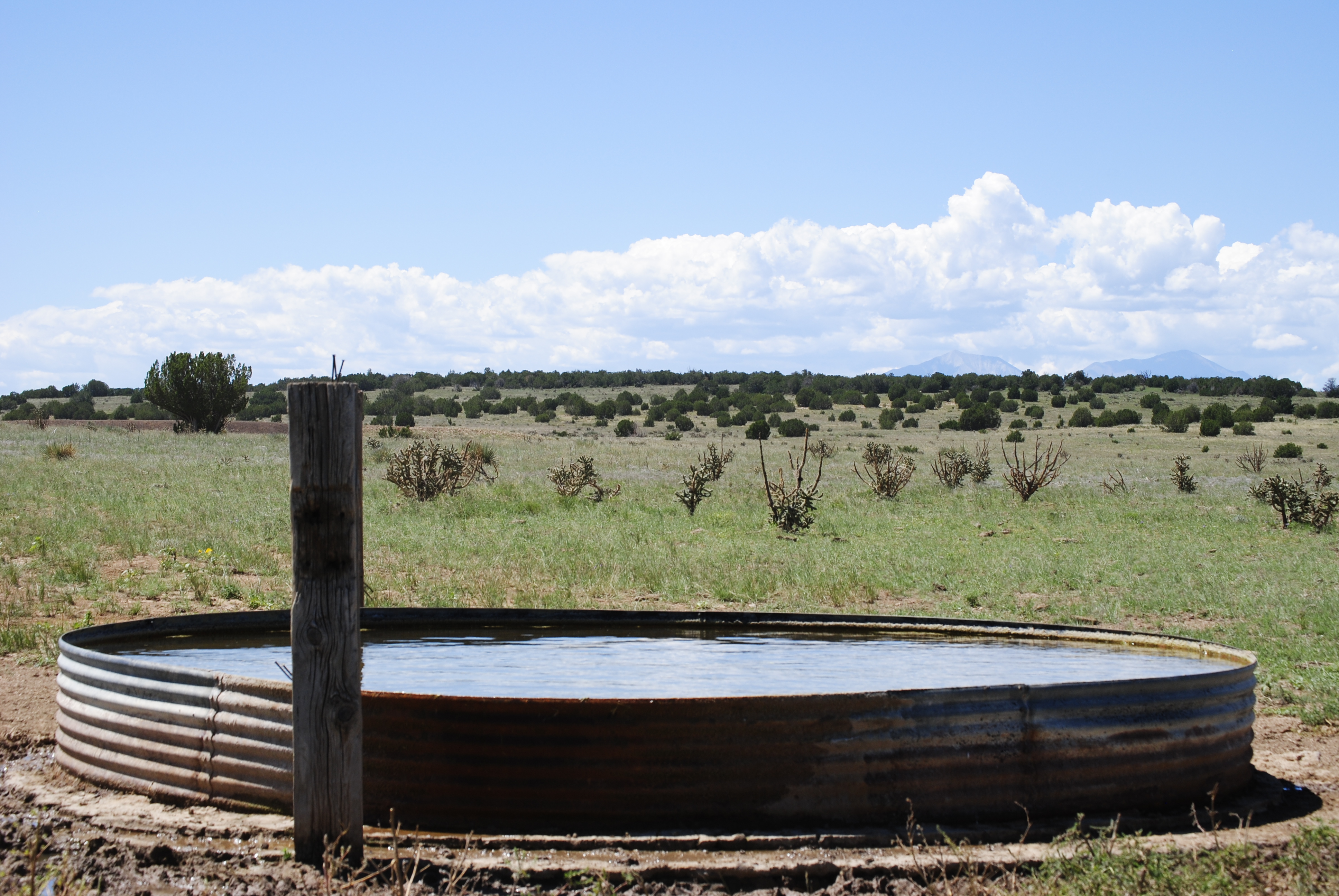 Cucharas Ranch property picture 26 of 41