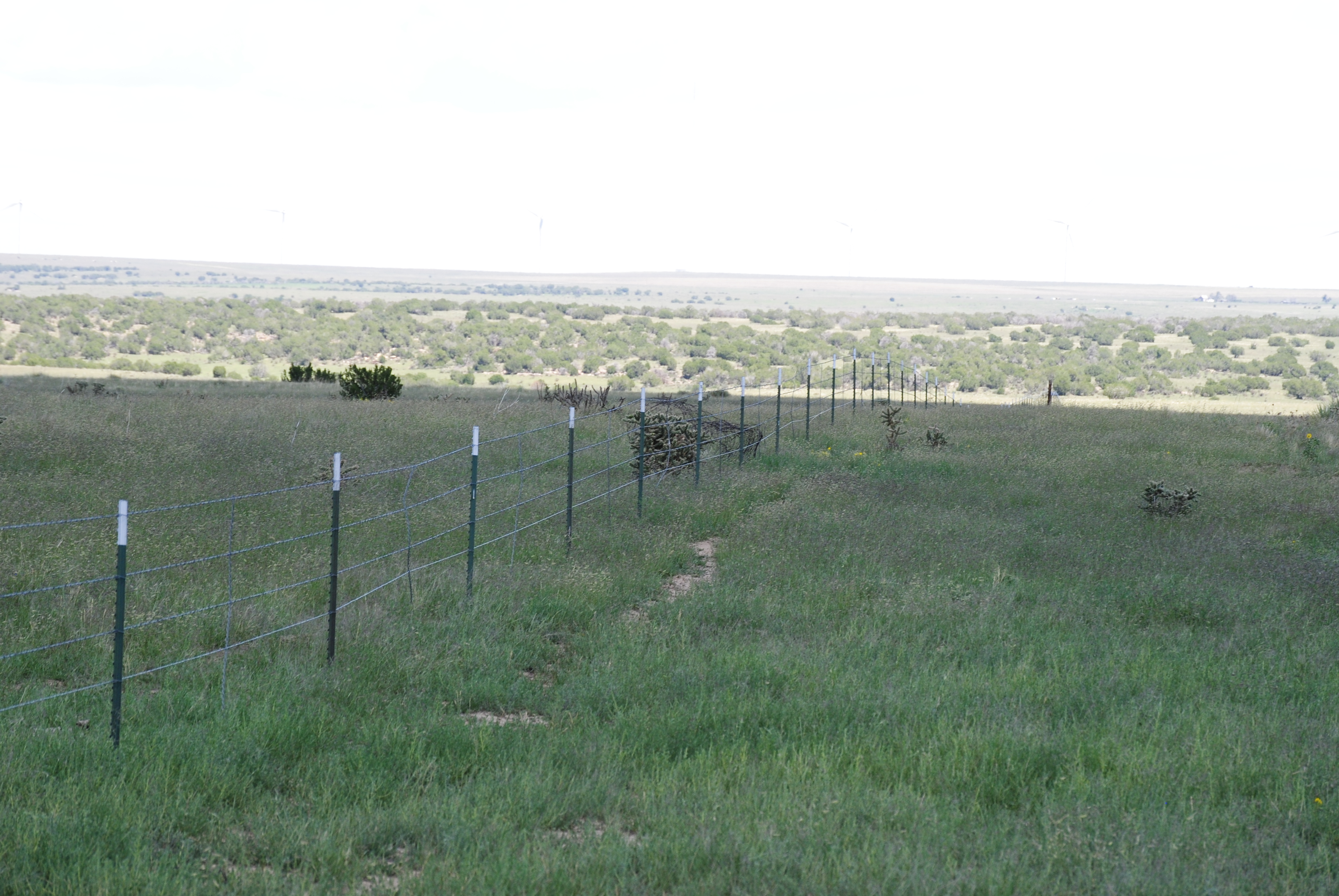 Cucharas Ranch property picture 40 of 41