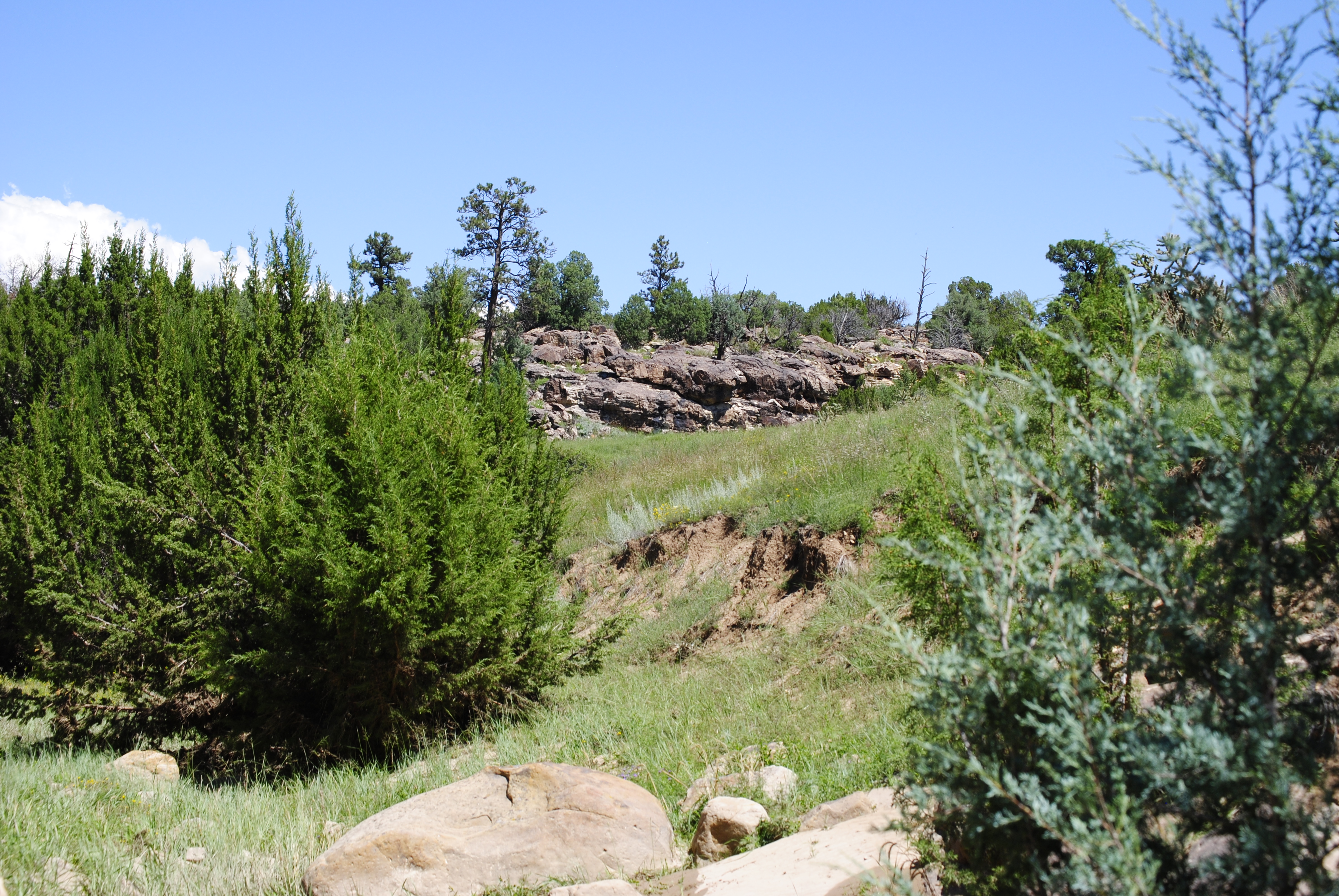 Cucharas Ranch property picture 31 of 41