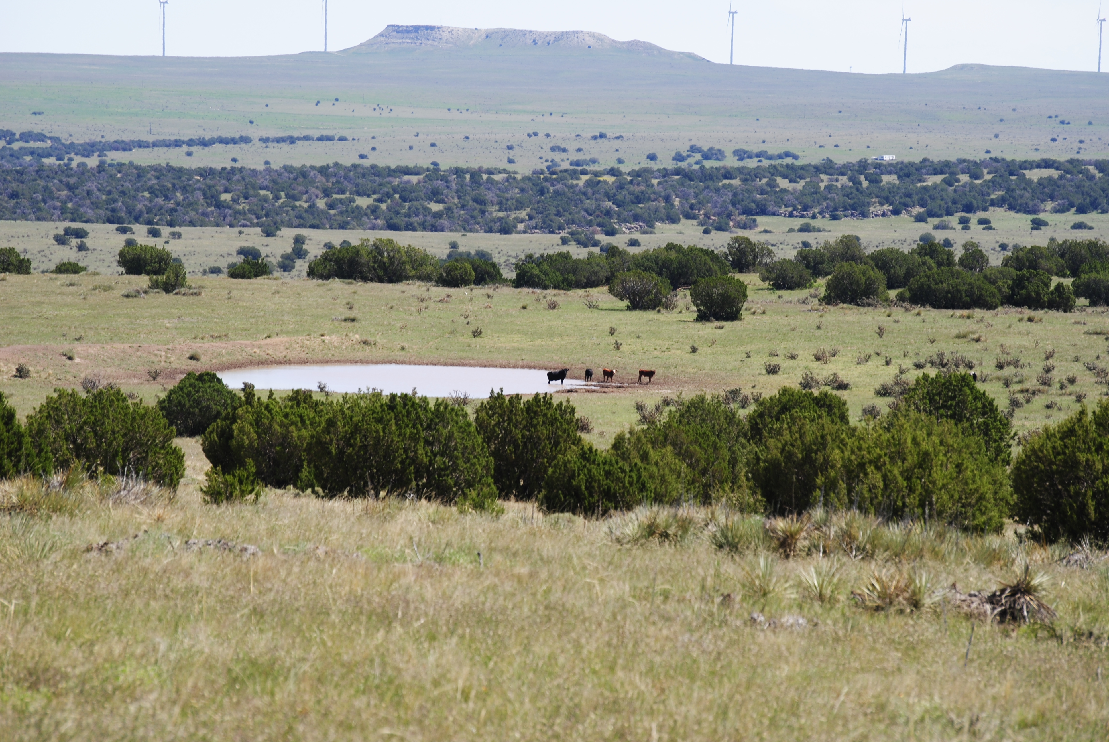 Cucharas Ranch property picture 23 of 41