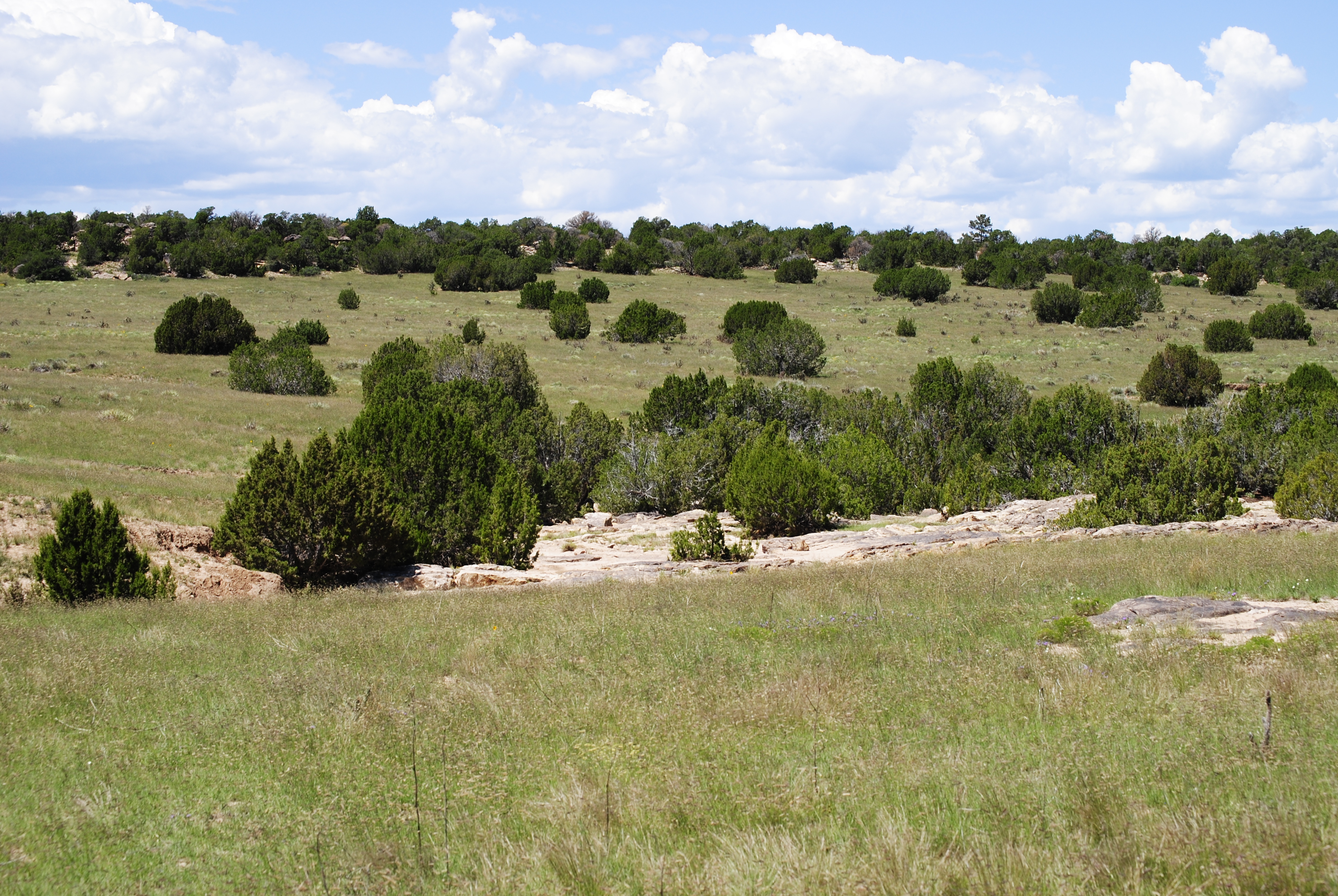 Cucharas Ranch property picture 29 of 41