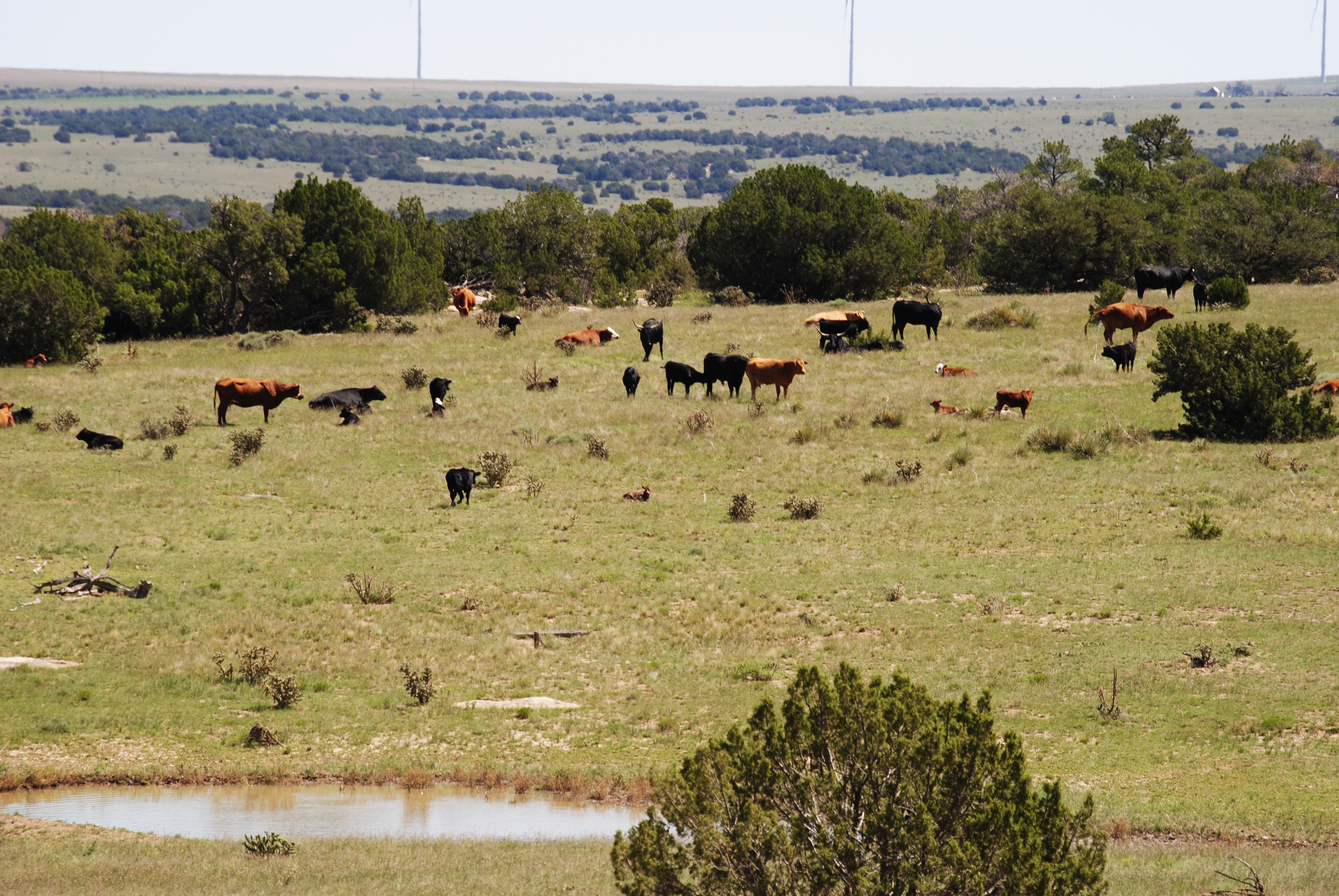 Cucharas Ranch property picture 24 of 41