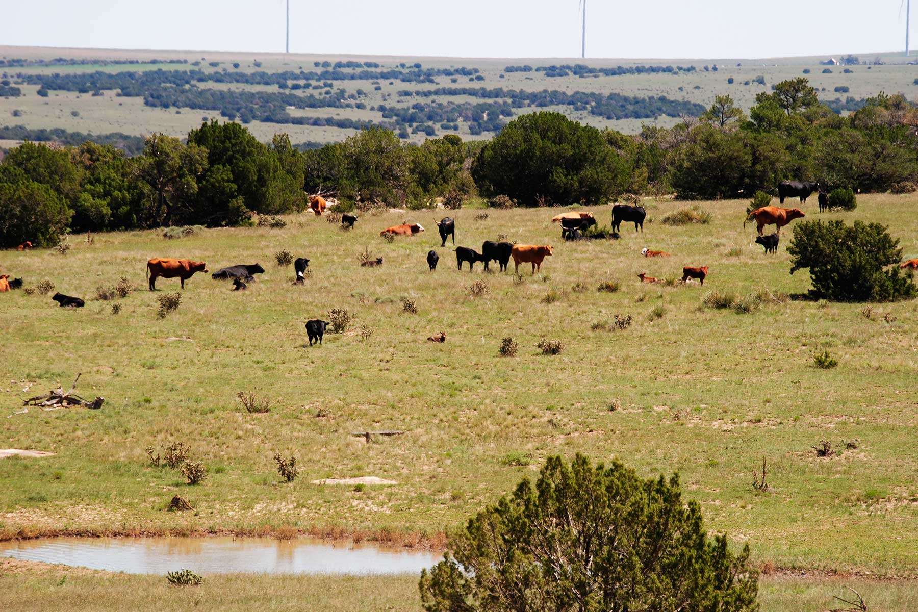 Cucharas Ranch property picture 6 of 41