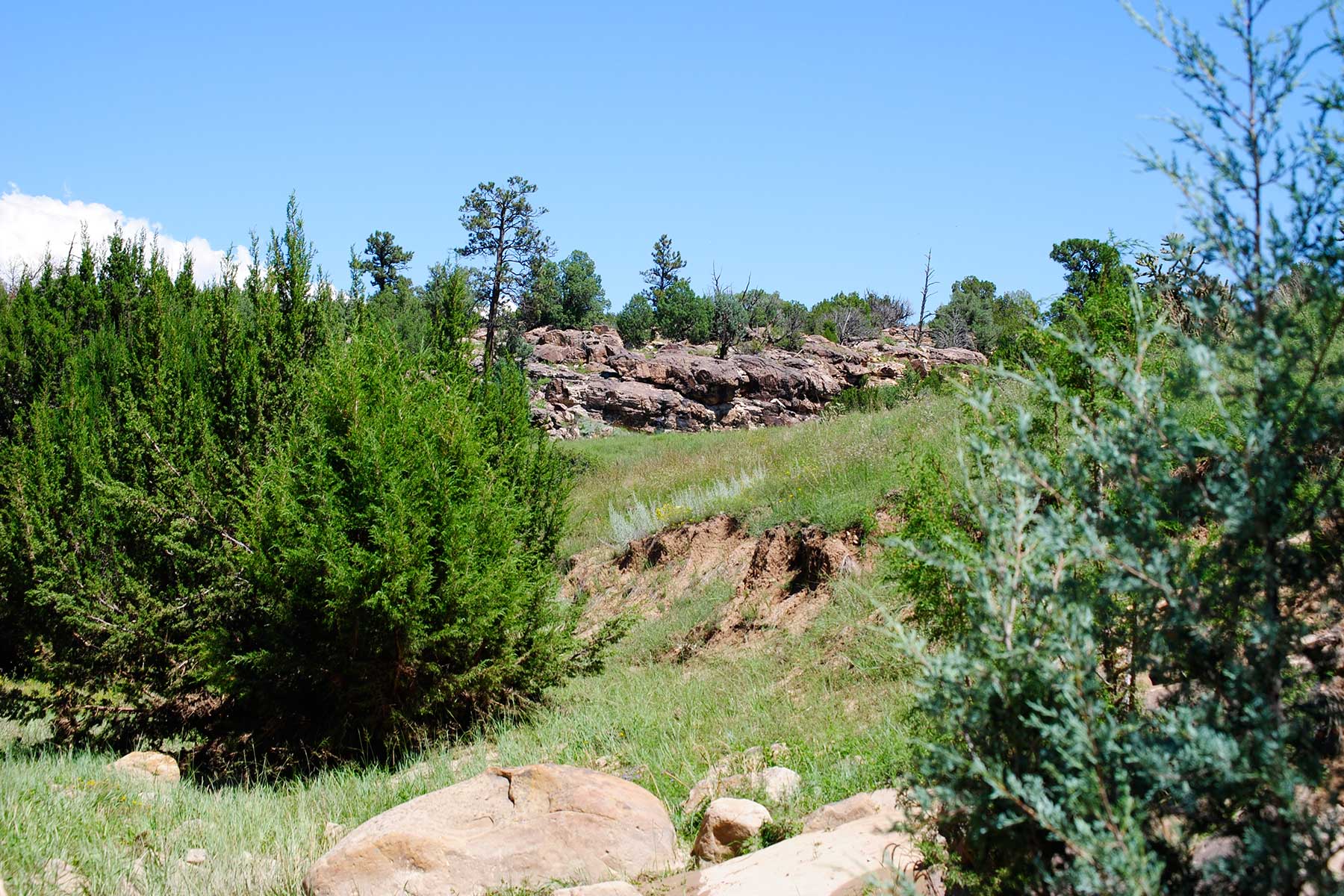 Cucharas Ranch property picture 3 of 41
