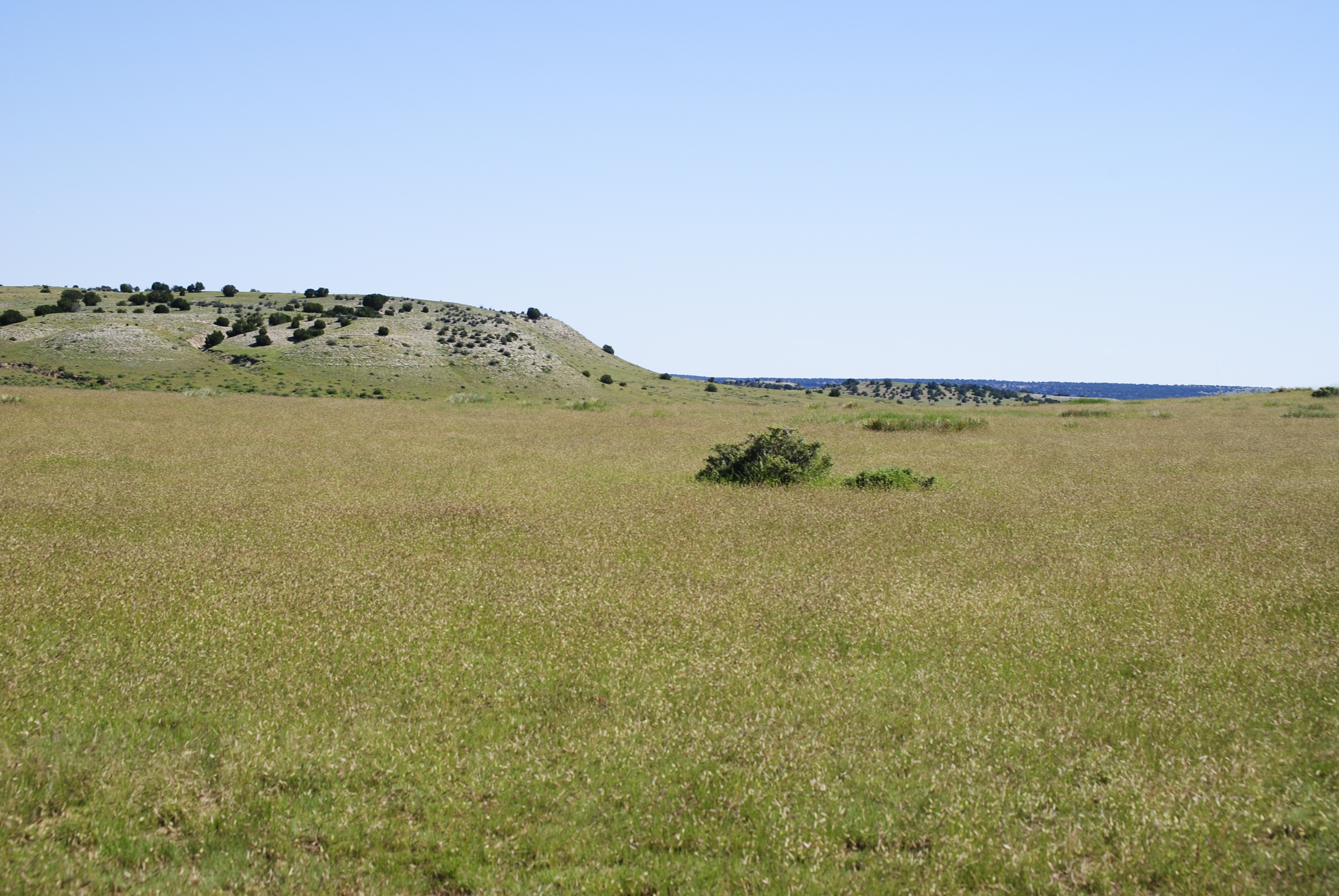 Cucharas Ranch property picture 12 of 41