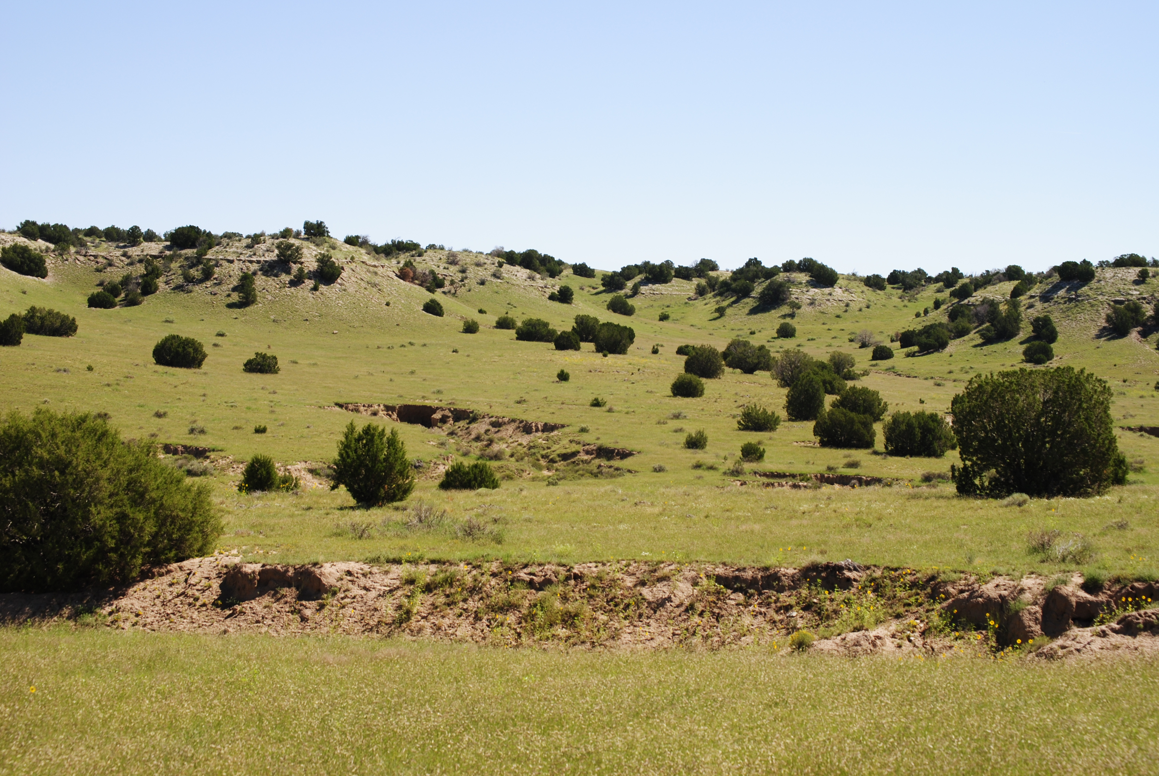 Cucharas Ranch property picture 13 of 41