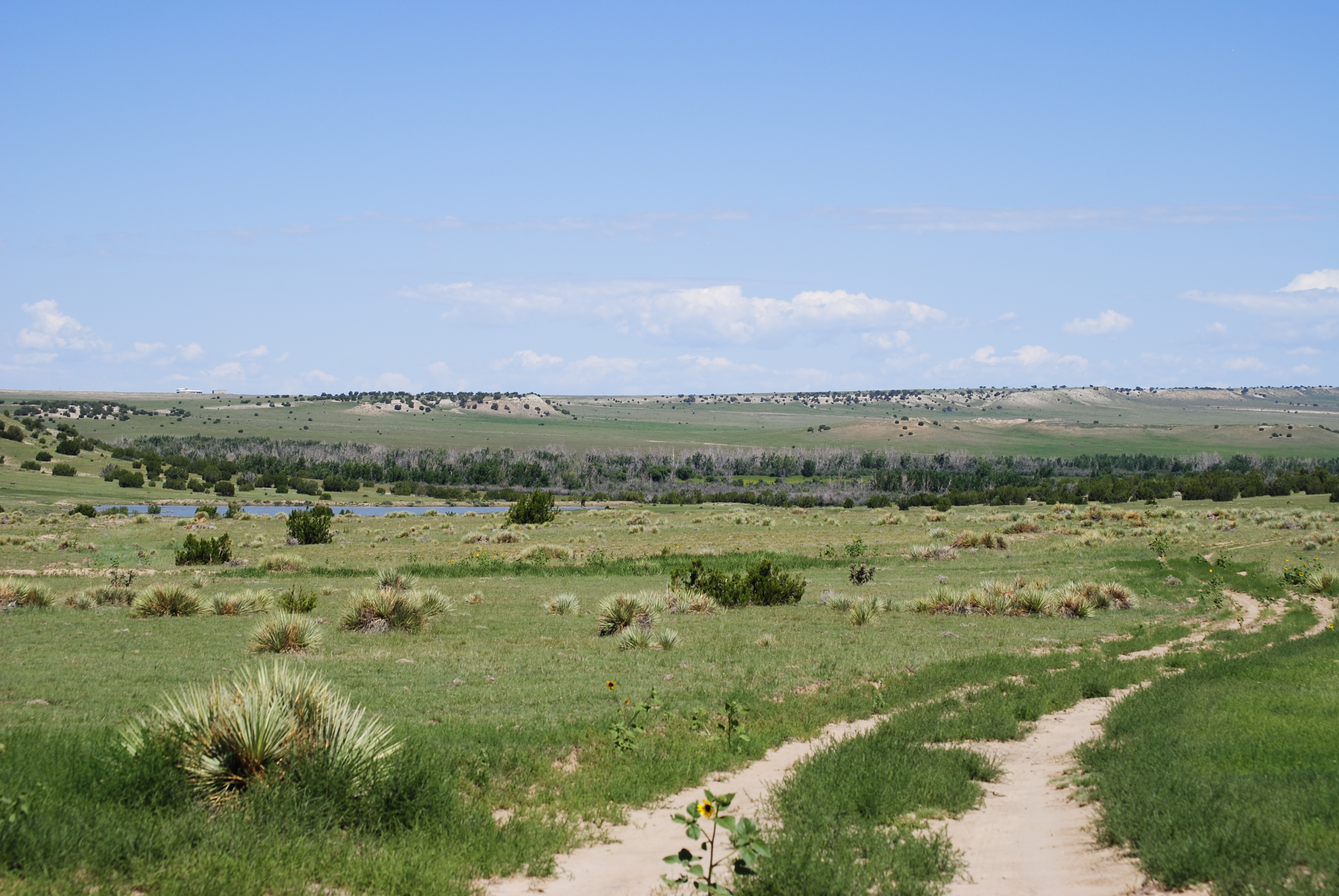 Cucharas Ranch property picture 19 of 41