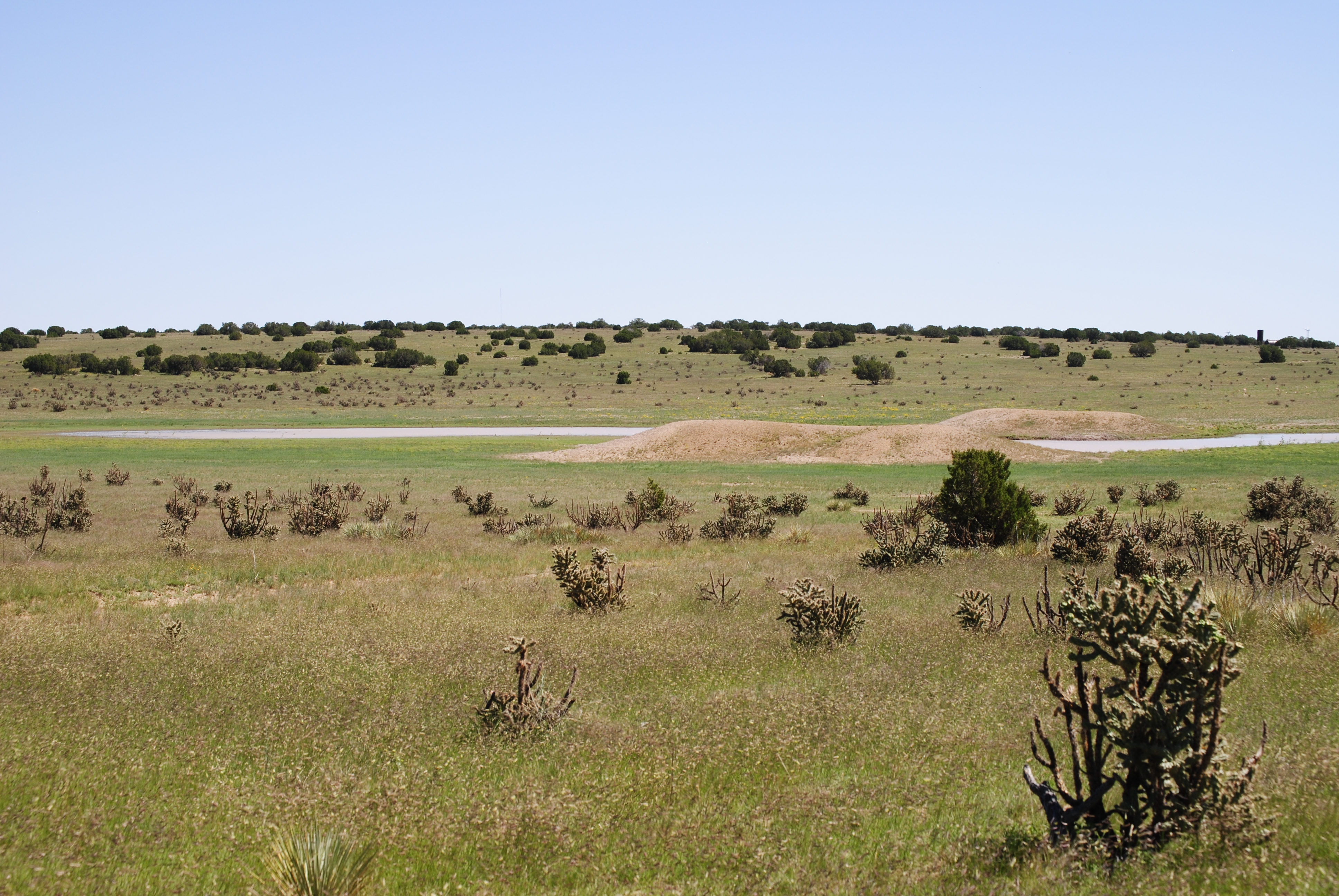 Cucharas Ranch property picture 21 of 41