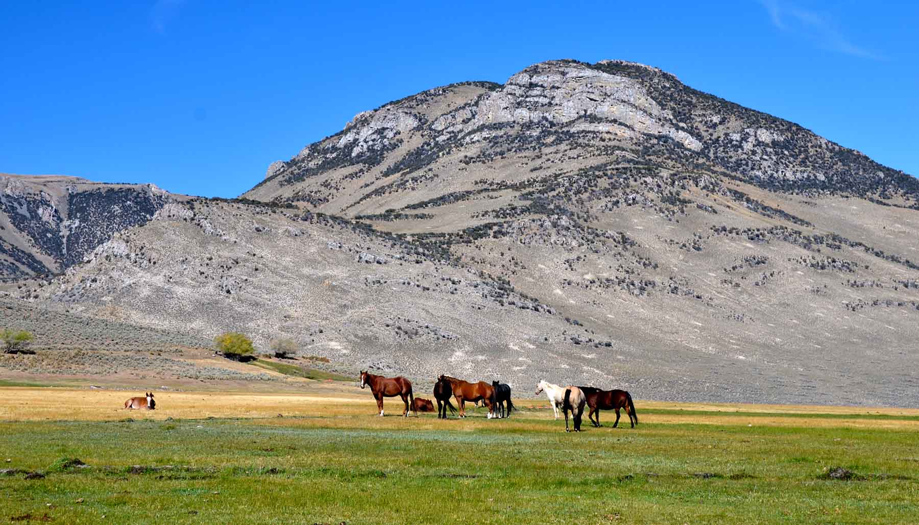 Lost Peaks Ranch property picture 4 of 43