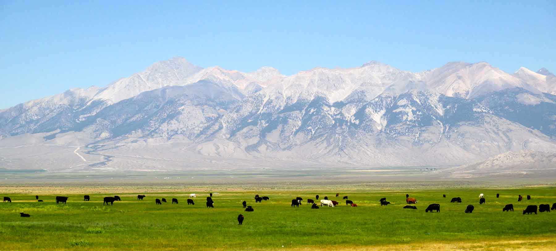 Lost Peaks Ranch property picture 24 of 43