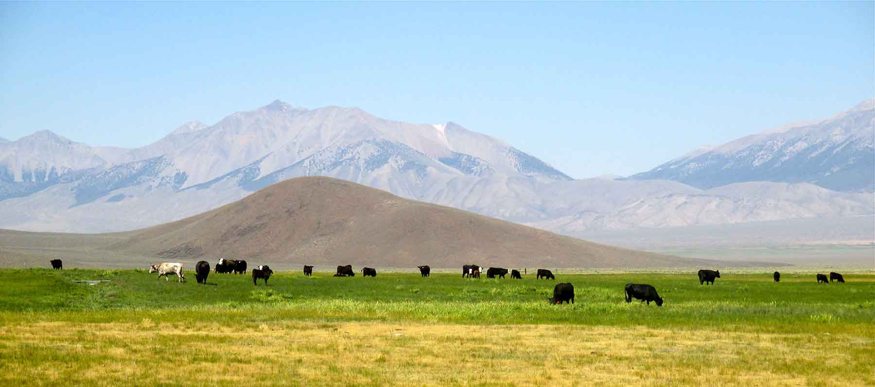 Lost Peaks Ranch property picture 21 of 43