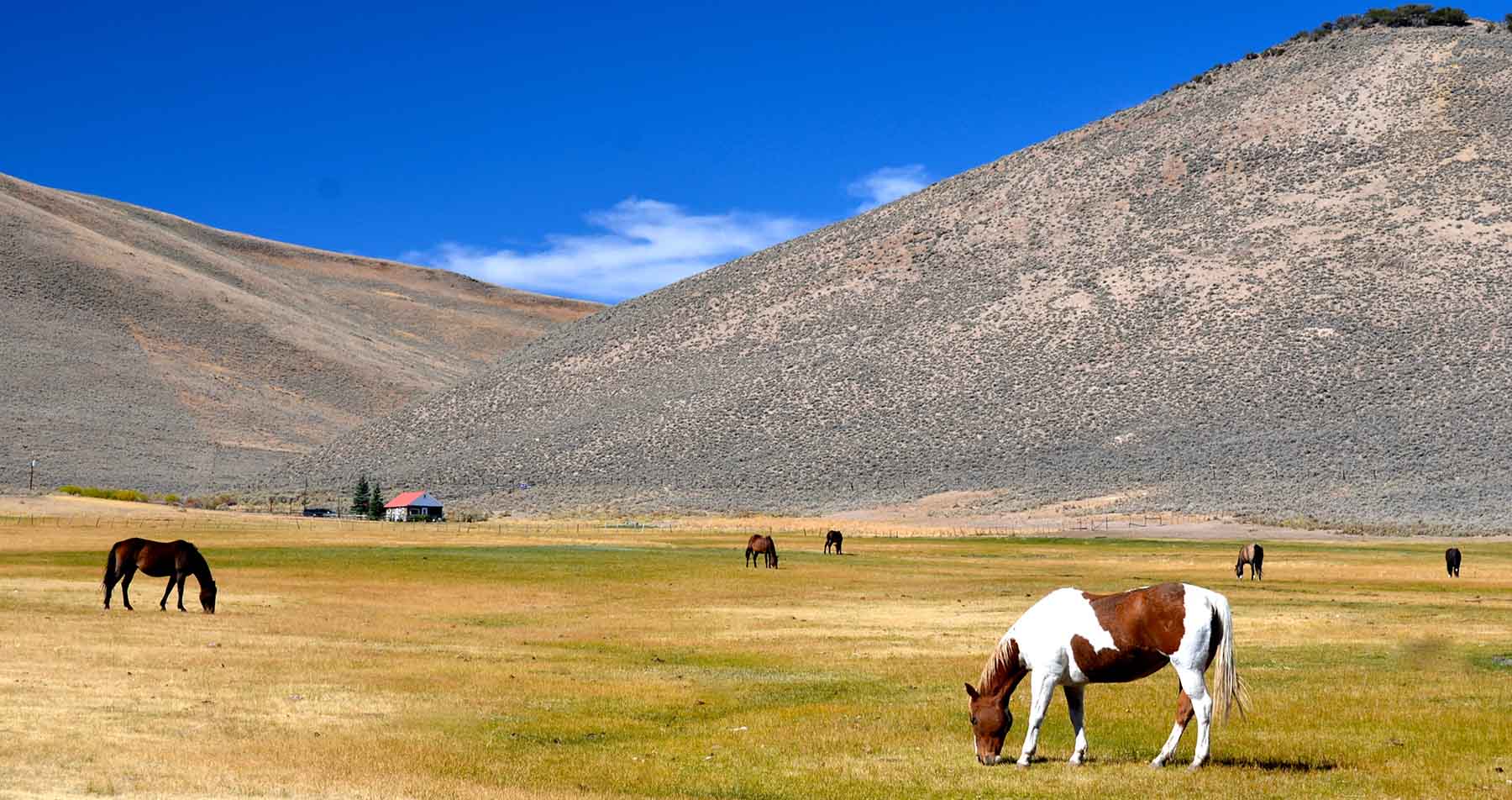 Lost Peaks Ranch property picture 20 of 43