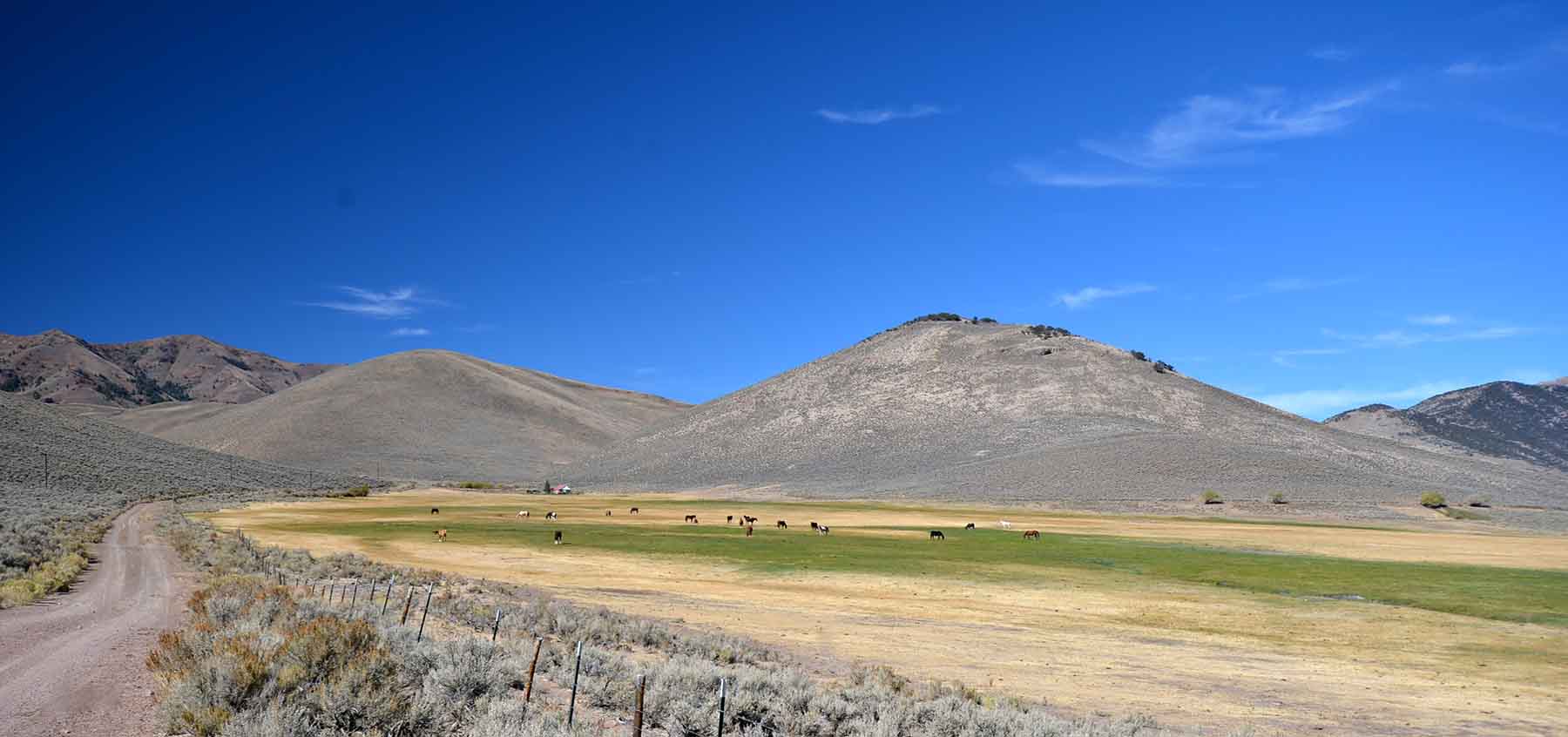 Lost Peaks Ranch property picture 22 of 43