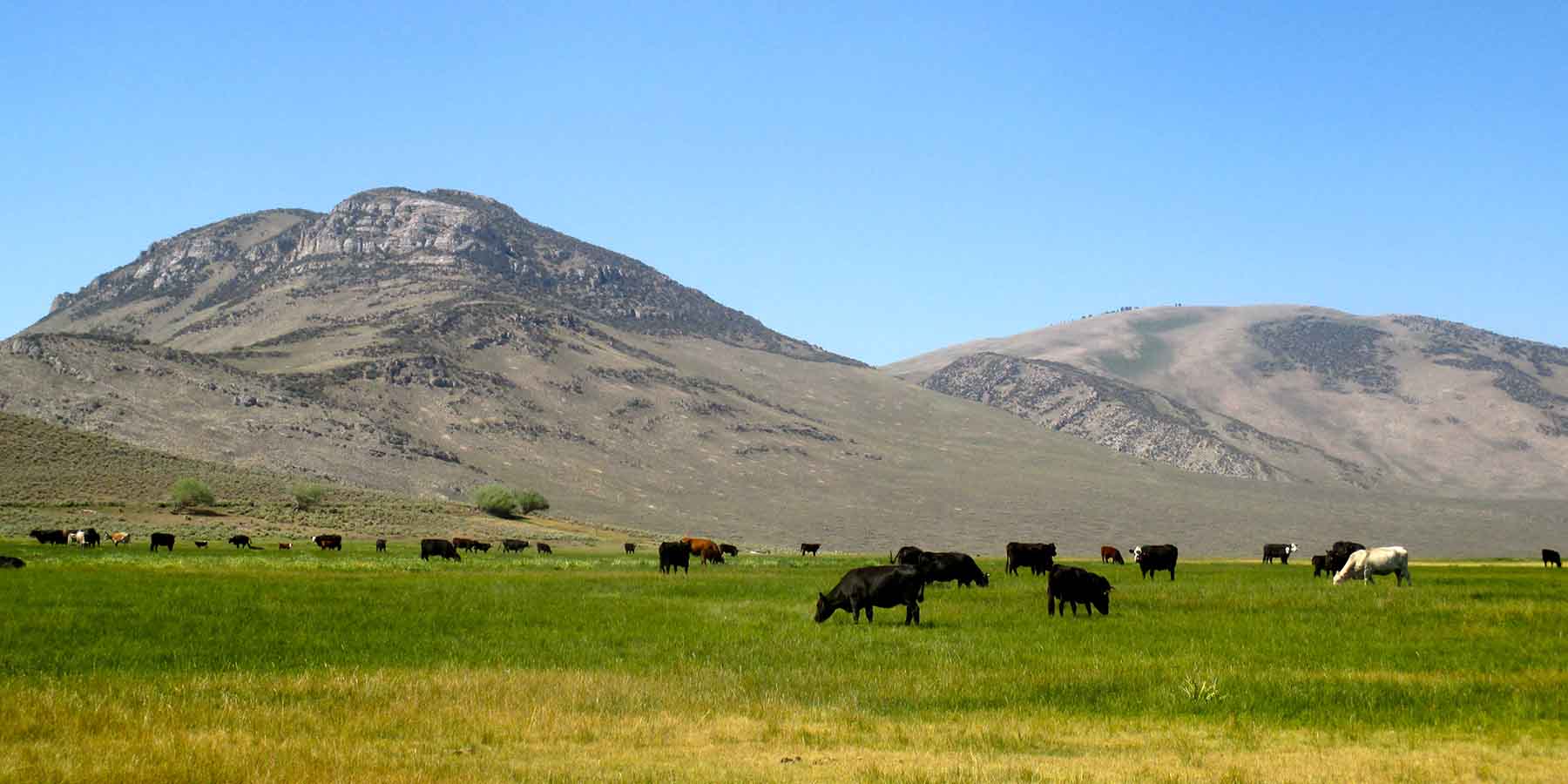 Lost Peaks Ranch property picture 19 of 43