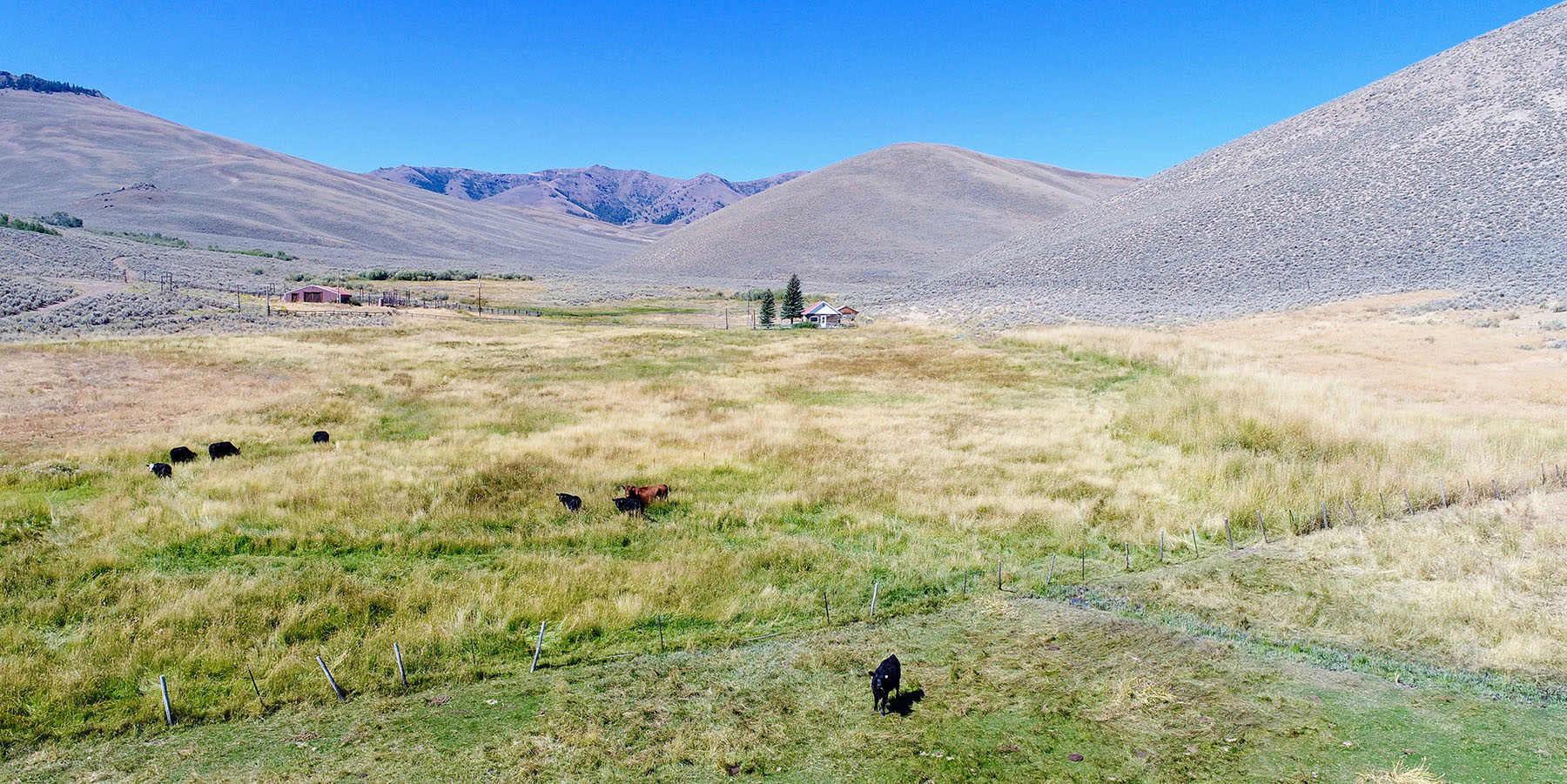 Lost Peaks Ranch property picture 41 of 43