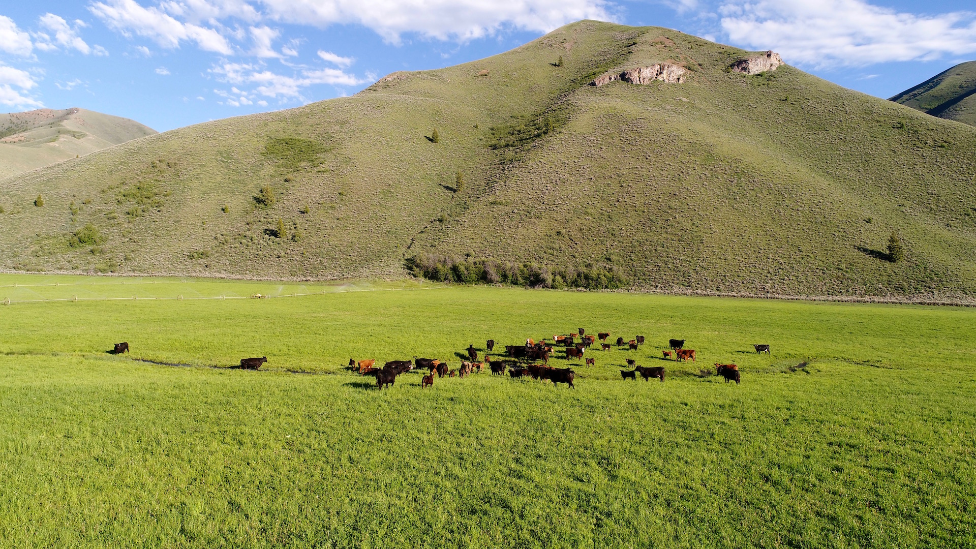 EE-DA-HO Ranch property picture 103 of 105