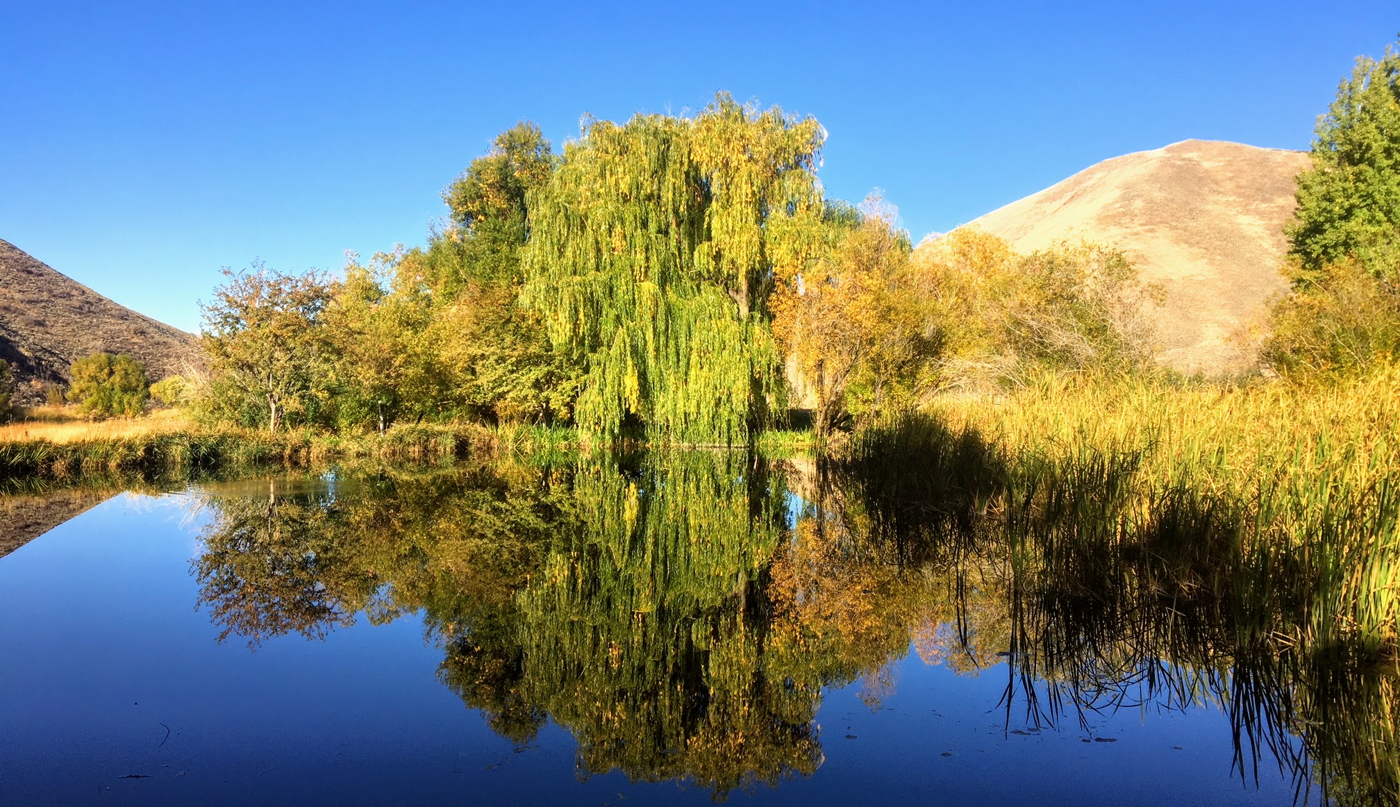 EE-DA-HO Ranch property picture 23 of 105
