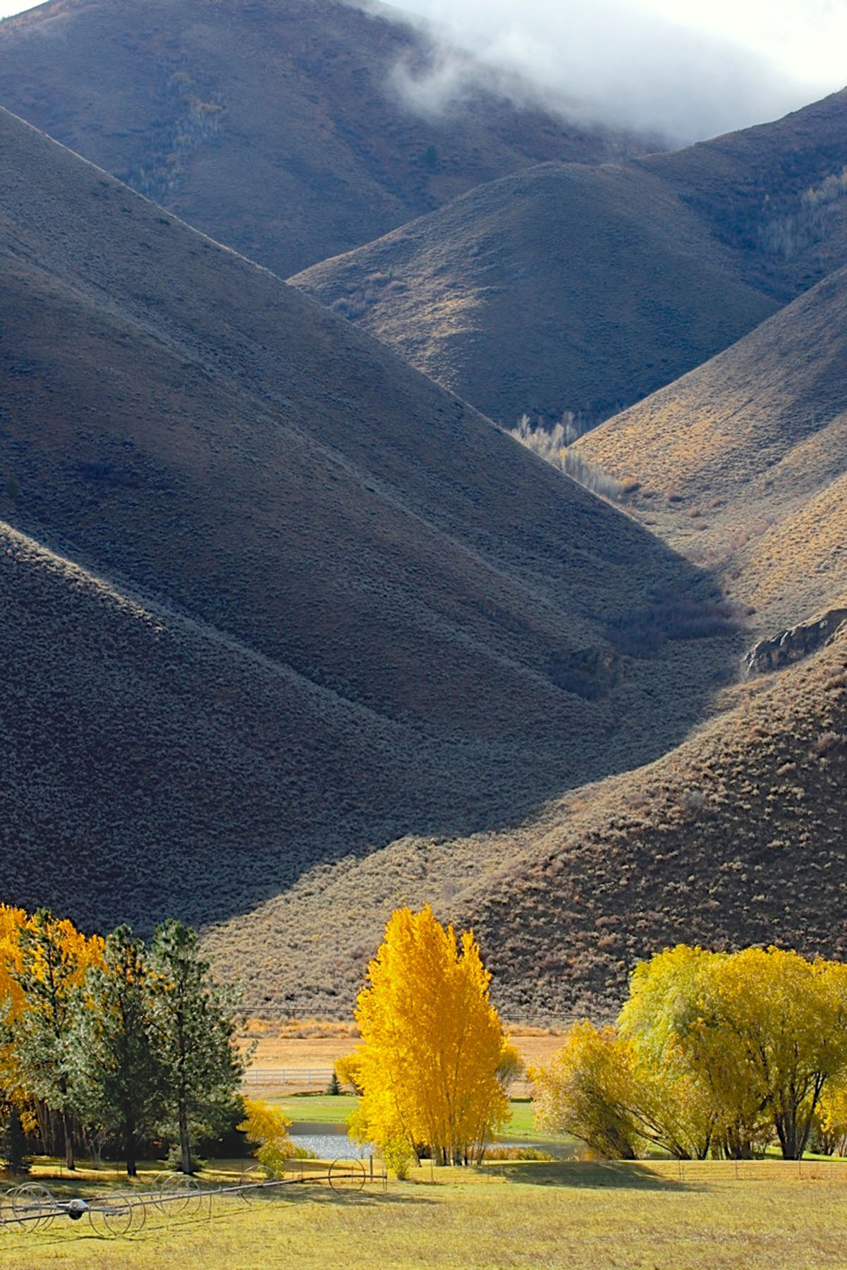 EE-DA-HO Ranch property picture 8 of 105