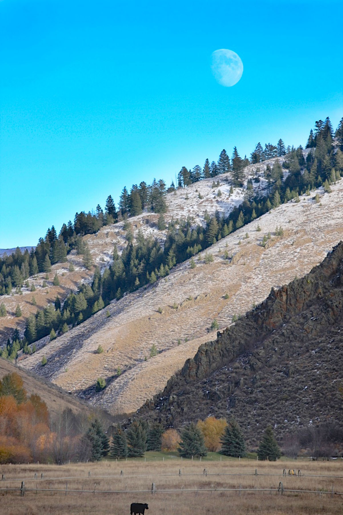 EE-DA-HO Ranch property picture 11 of 105