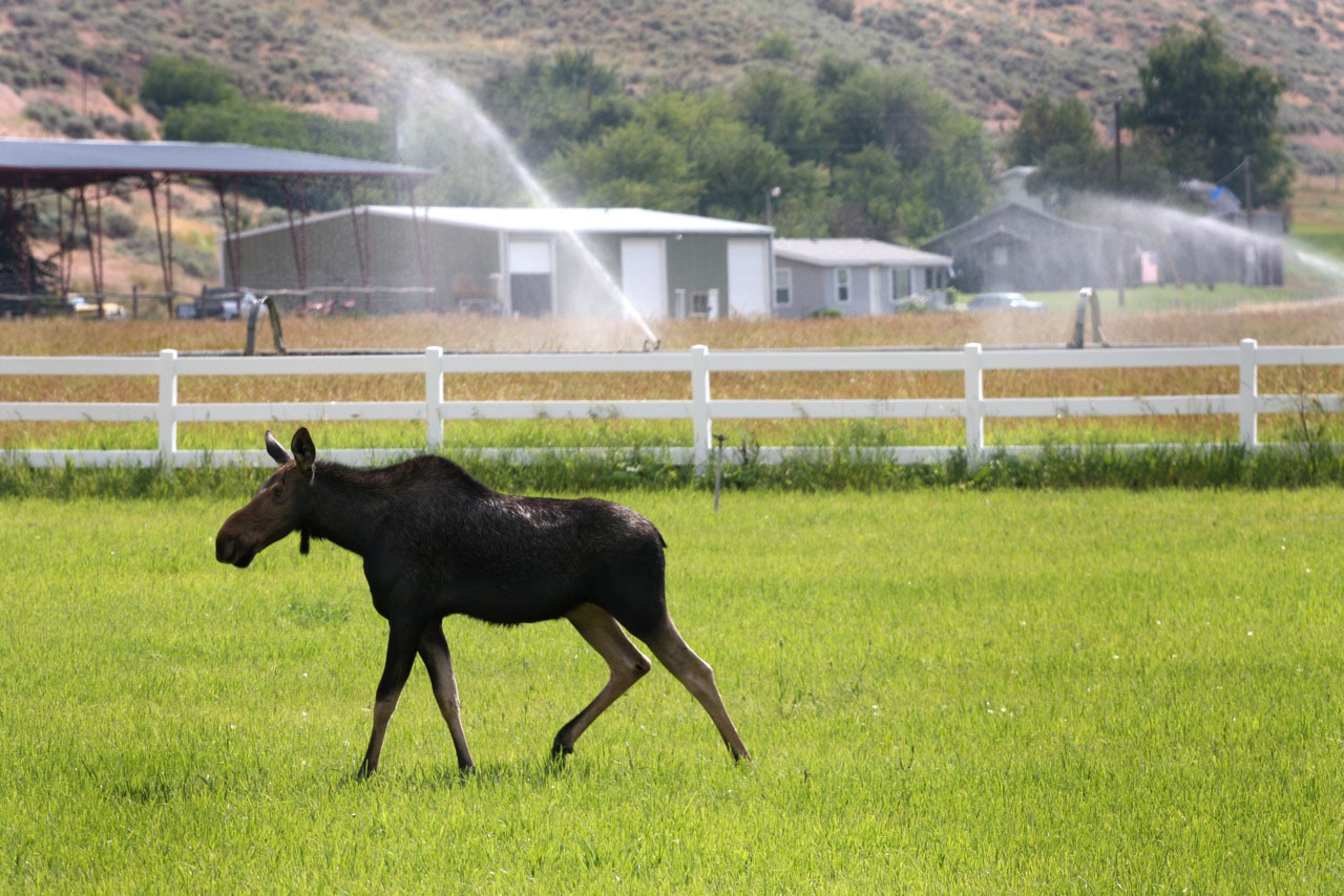 EE-DA-HO Ranch property picture 14 of 105
