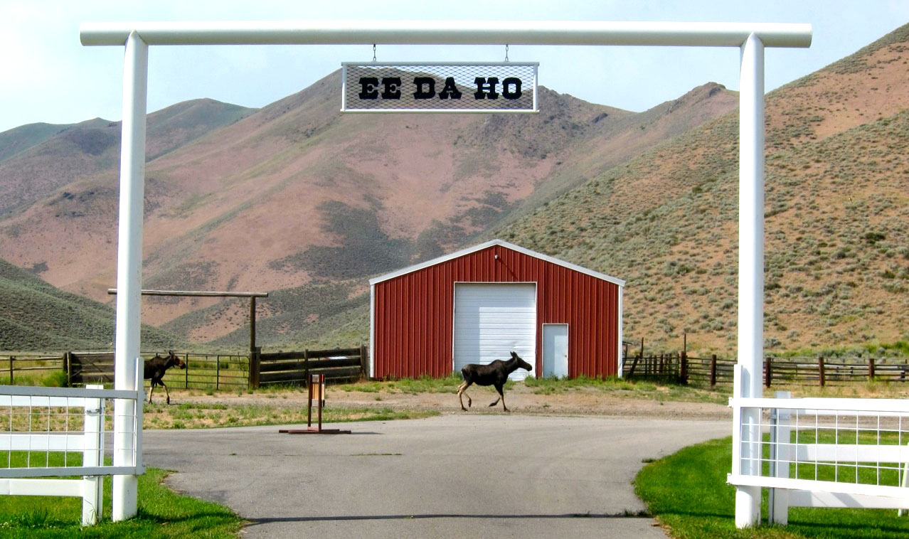 EE-DA-HO Ranch property picture 15 of 105