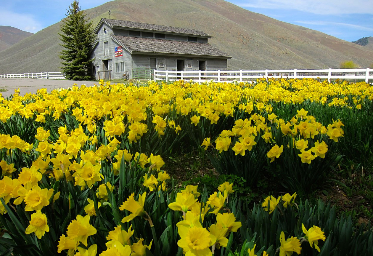 EE-DA-HO Ranch property picture 16 of 105
