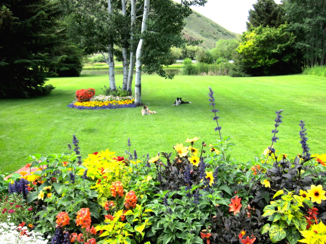 EE-DA-HO Ranch property picture 18 of 105