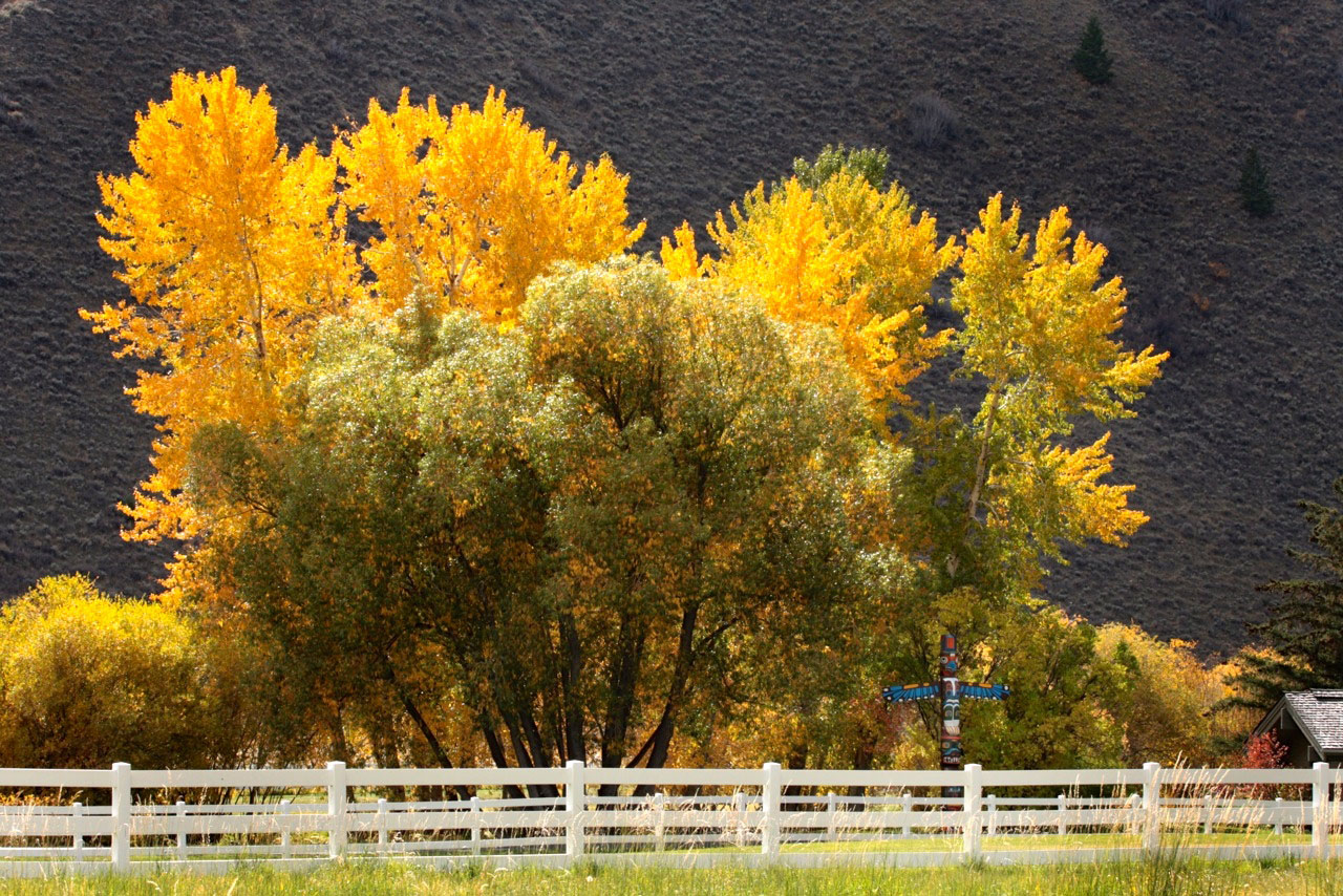 EE-DA-HO Ranch property picture 19 of 105