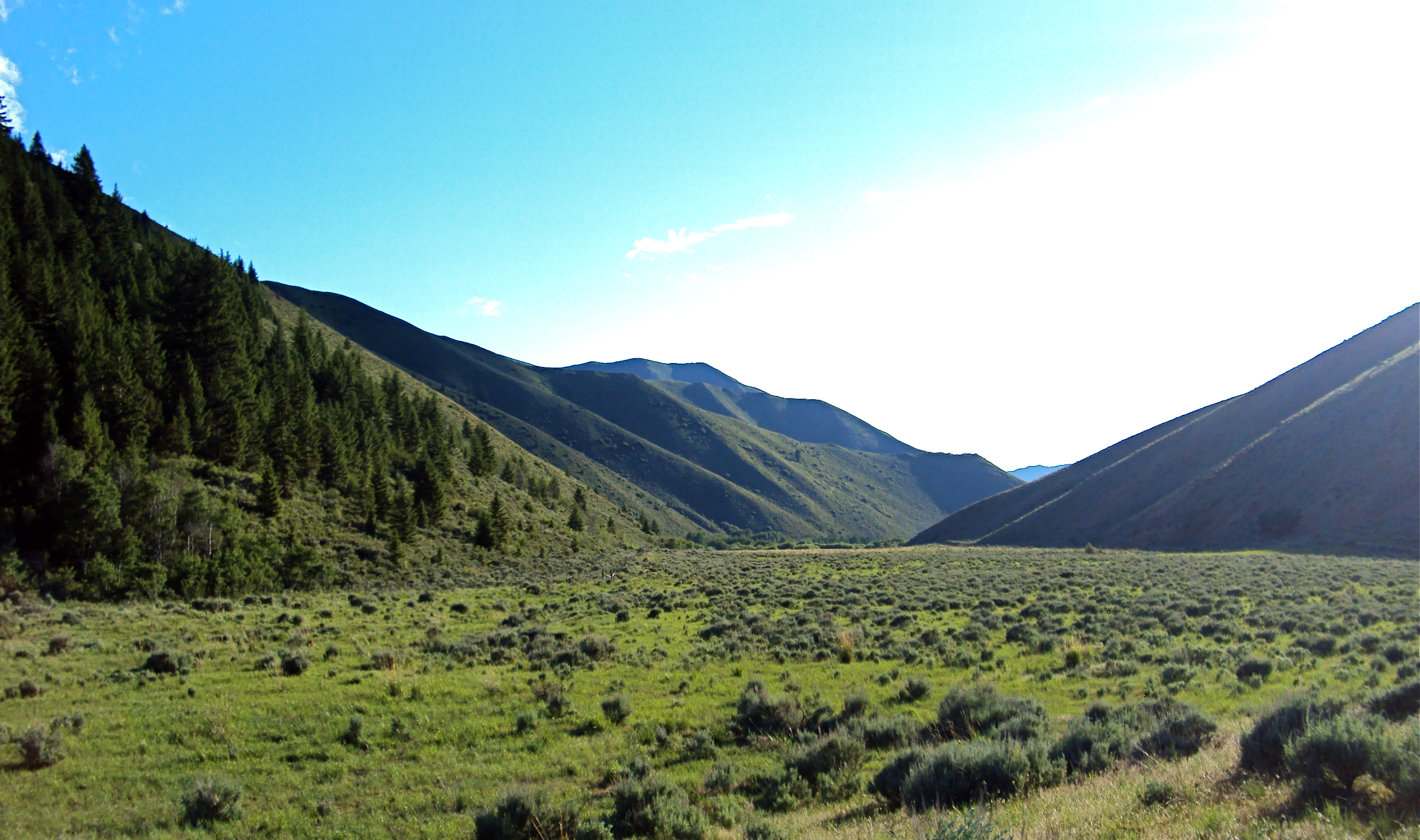 EE-DA-HO Ranch property picture 26 of 105