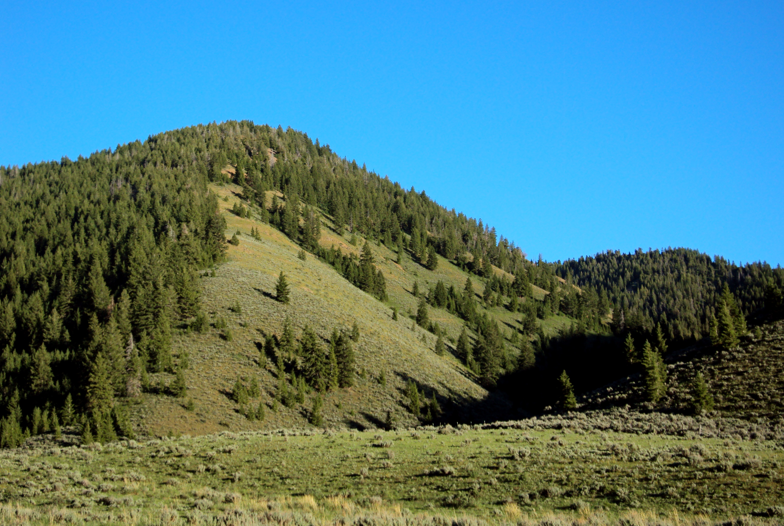 EE-DA-HO Ranch property picture 27 of 105