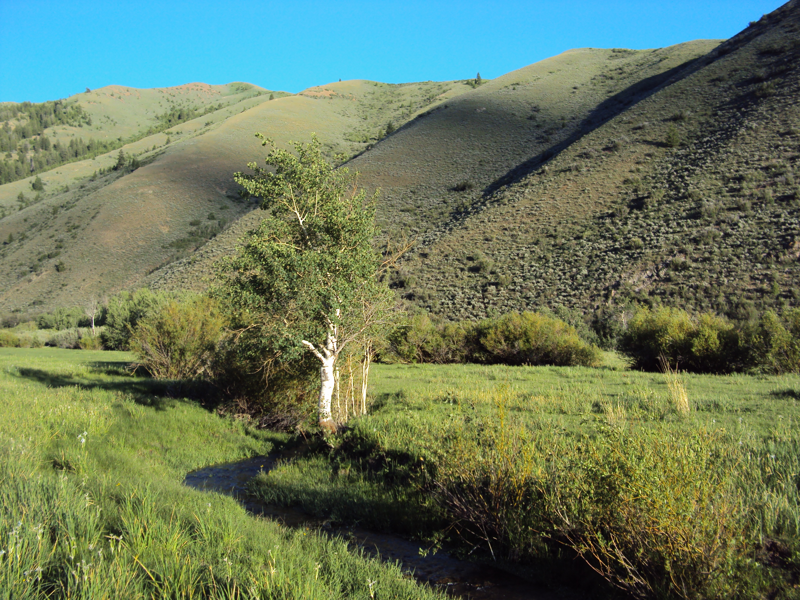 EE-DA-HO Ranch property picture 29 of 105