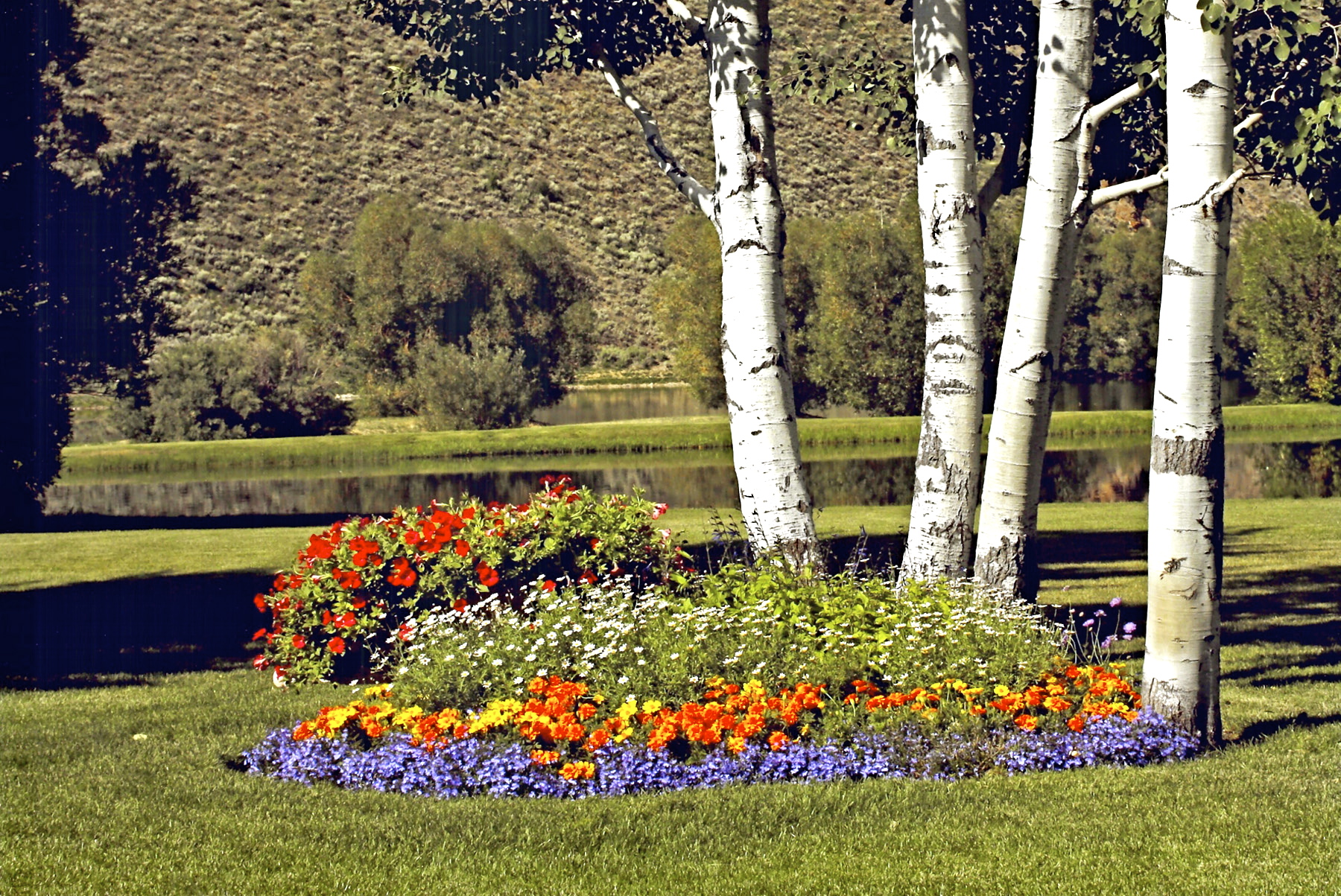 EE-DA-HO Ranch property picture 31 of 105