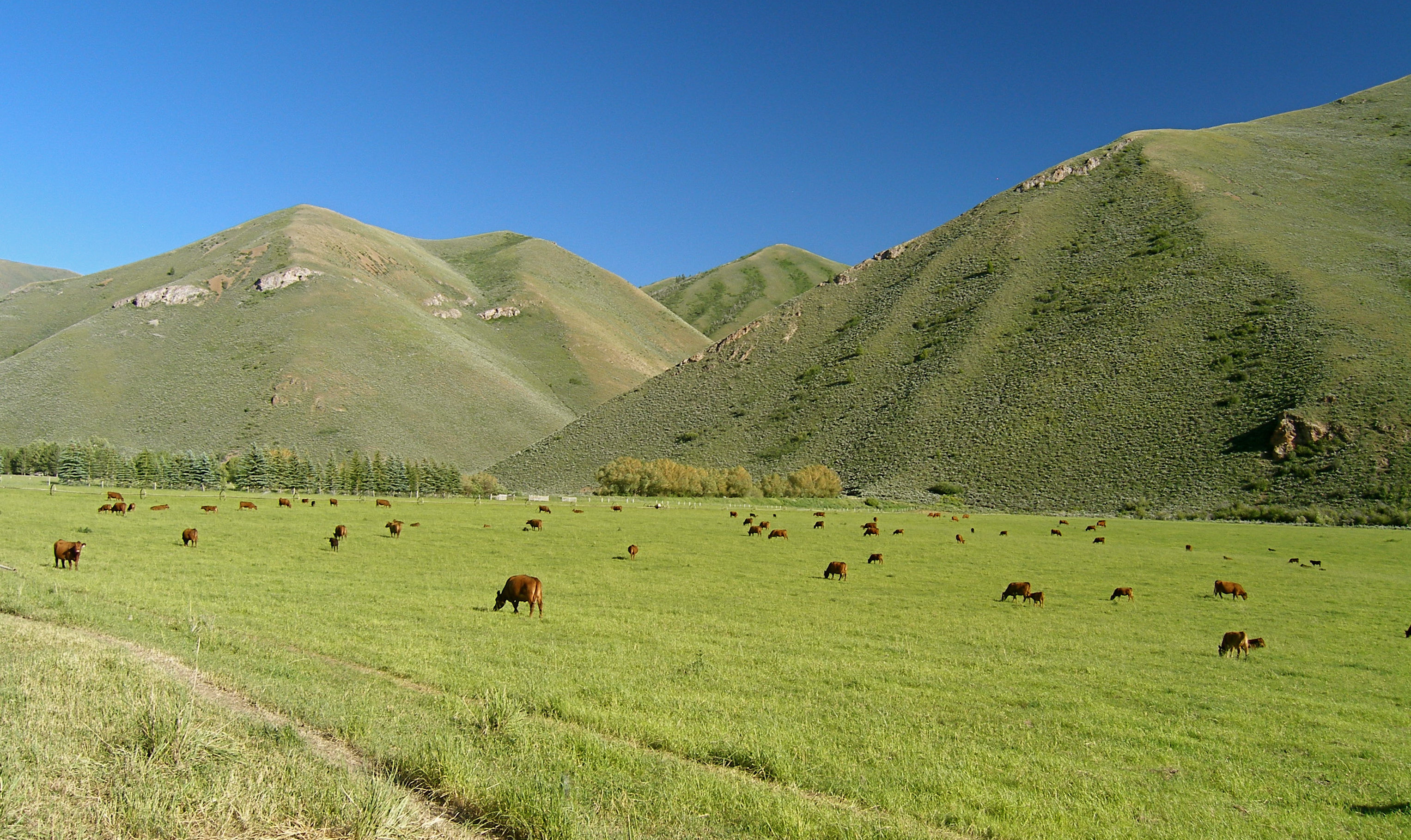 EE-DA-HO Ranch property picture 39 of 105