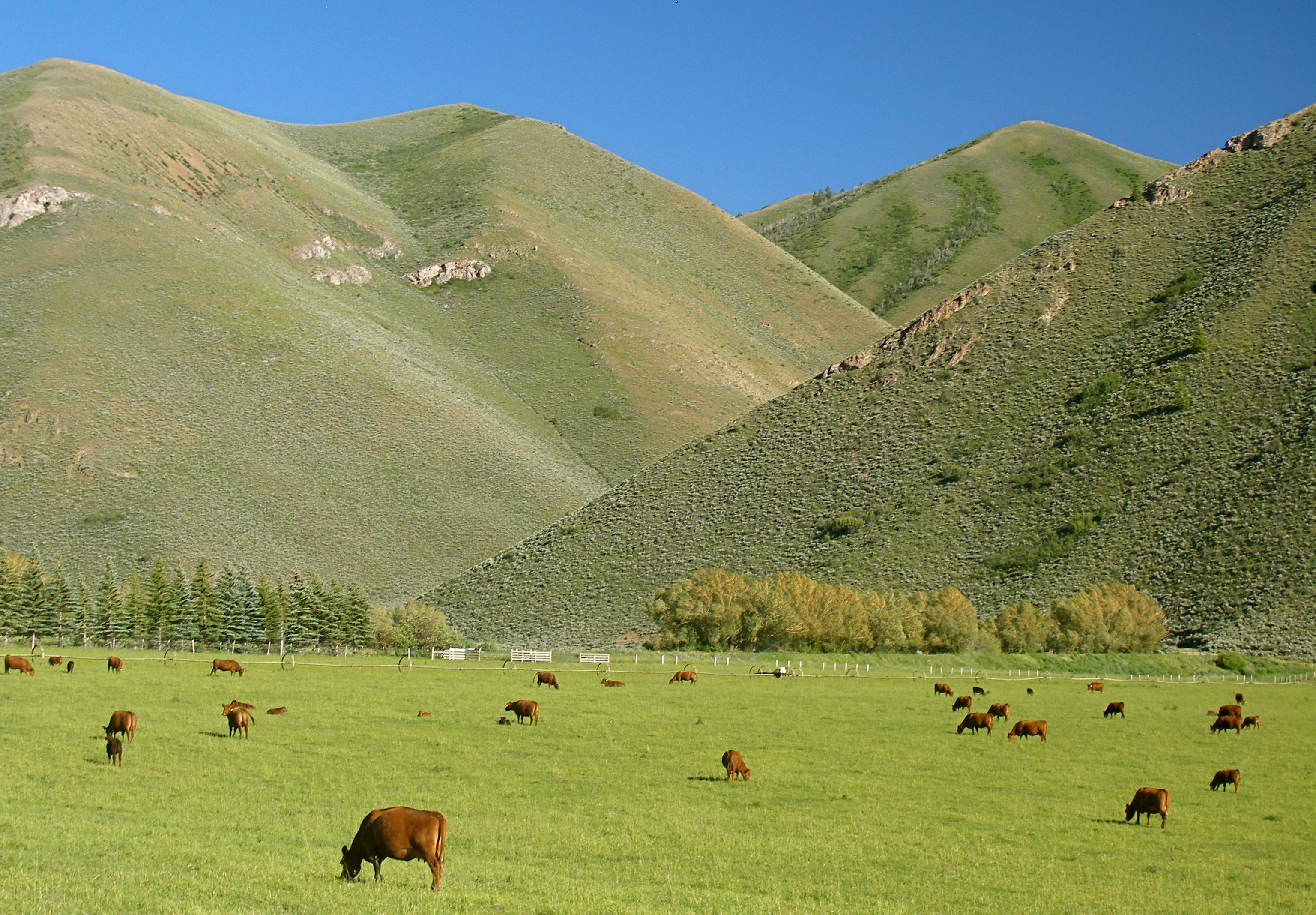 EE-DA-HO Ranch property picture 40 of 105